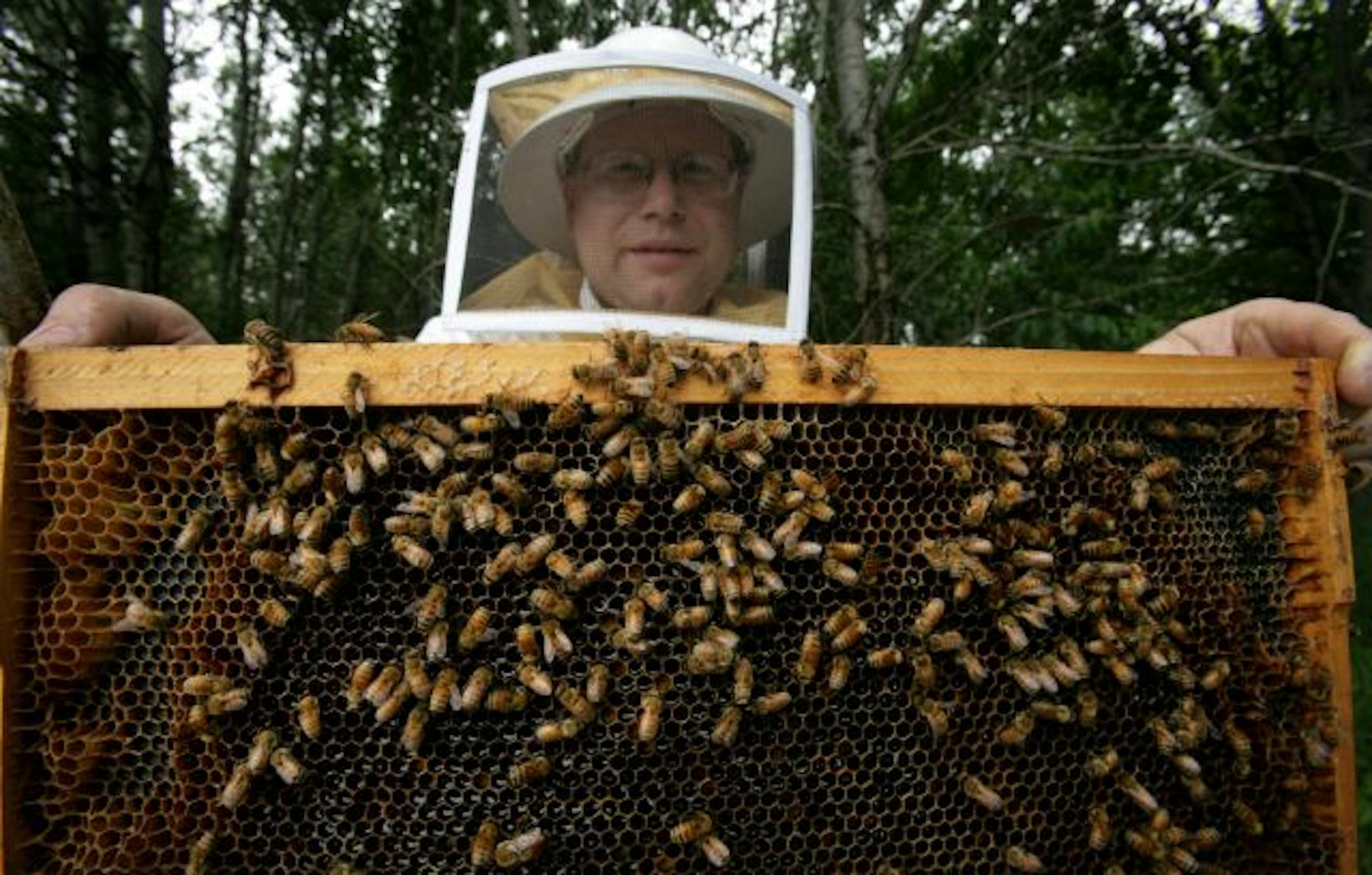 Beekeeper Dan Malmgren. This home in Blaine belongs to Gary Rettke, the father-in-law of beekeeper Dan Malmgren. Dan keeps many of his hives at Gary's because Gary thinks they help his garden.