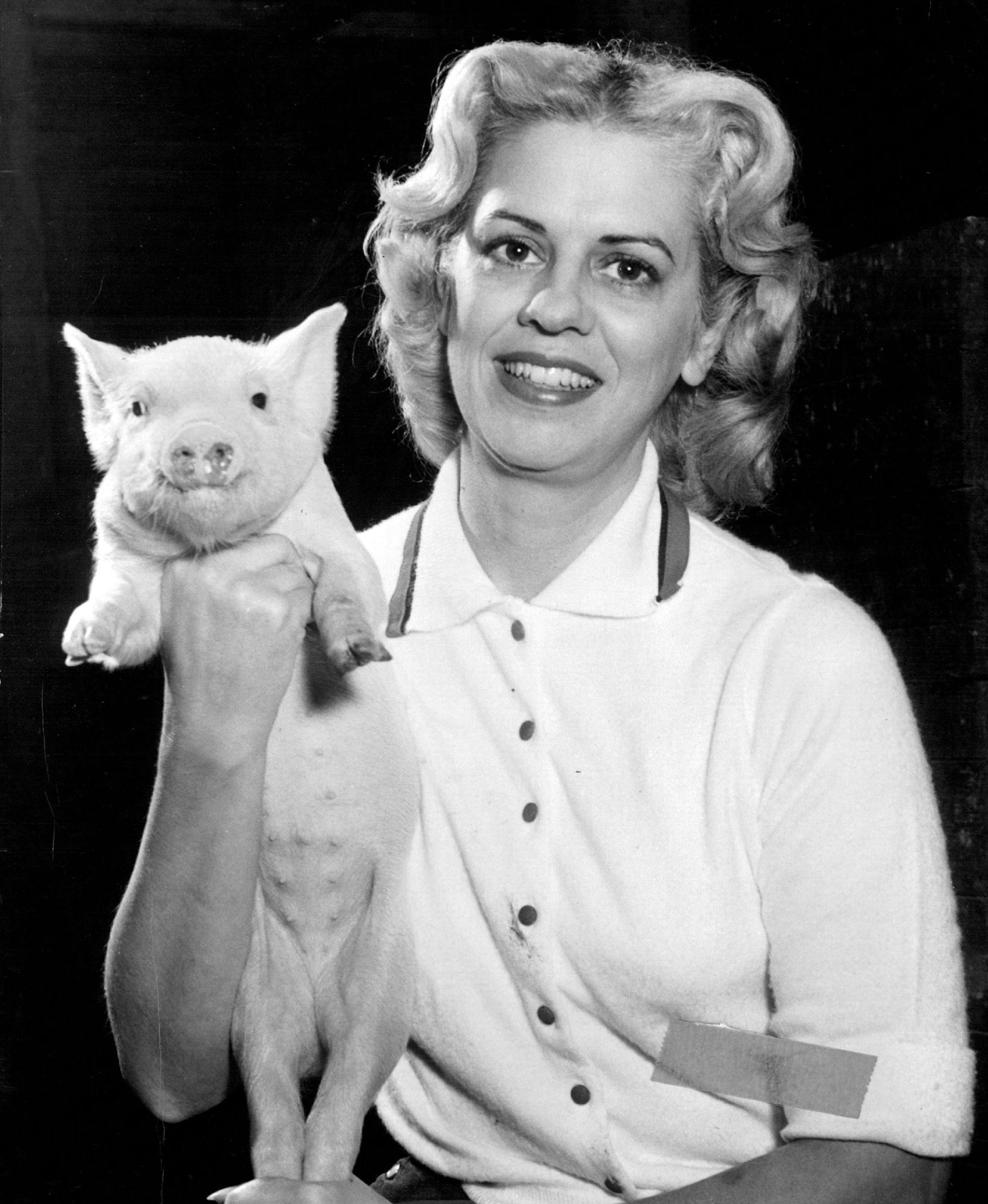 August 23, 1959 Lovely Lady, Perky Pig- Meet the Yorkshire Swine judge of the 1959 Minnesota State Fair, August, 29 through September. 7, with a "Yore piglet of her own raising. She is Mrs. Cecilia Andrew Neville, Lafayette, Inc., one of Americans top hog judges. She has judged the past four years at Ohio State Fair, Eastern States Exposition, International Livestock Exposition aid National Barrow Show, as well as at scores of regional and county fairs. The Nevilles raise some 450 pure-bred York