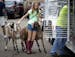Quinn Czeck, 13, of Sterns County helped Scott Walberg, of Alexandria, (at right in green) load 28 goats onto a trailer as they packed up to leave on 