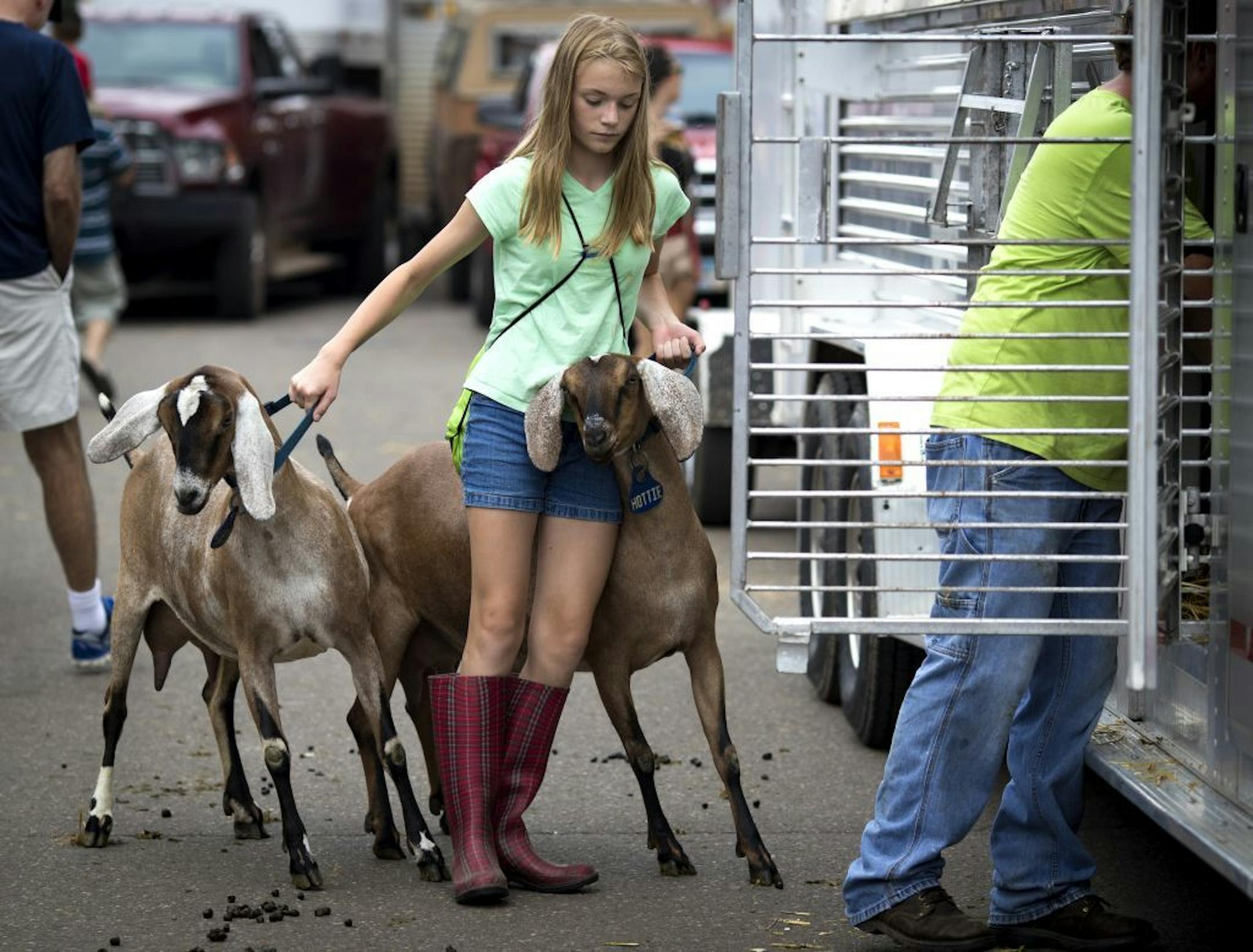 Quinn Czeck, 13, of Sterns County helped Scott Walberg, of Alexandria, (at right in green) load 28 goats onto a trailer as they packed up to leave on the last day of the Minnesota State Fair in Falcon Heights, Minn. on Labor Day, Monday, September 5, 2016.