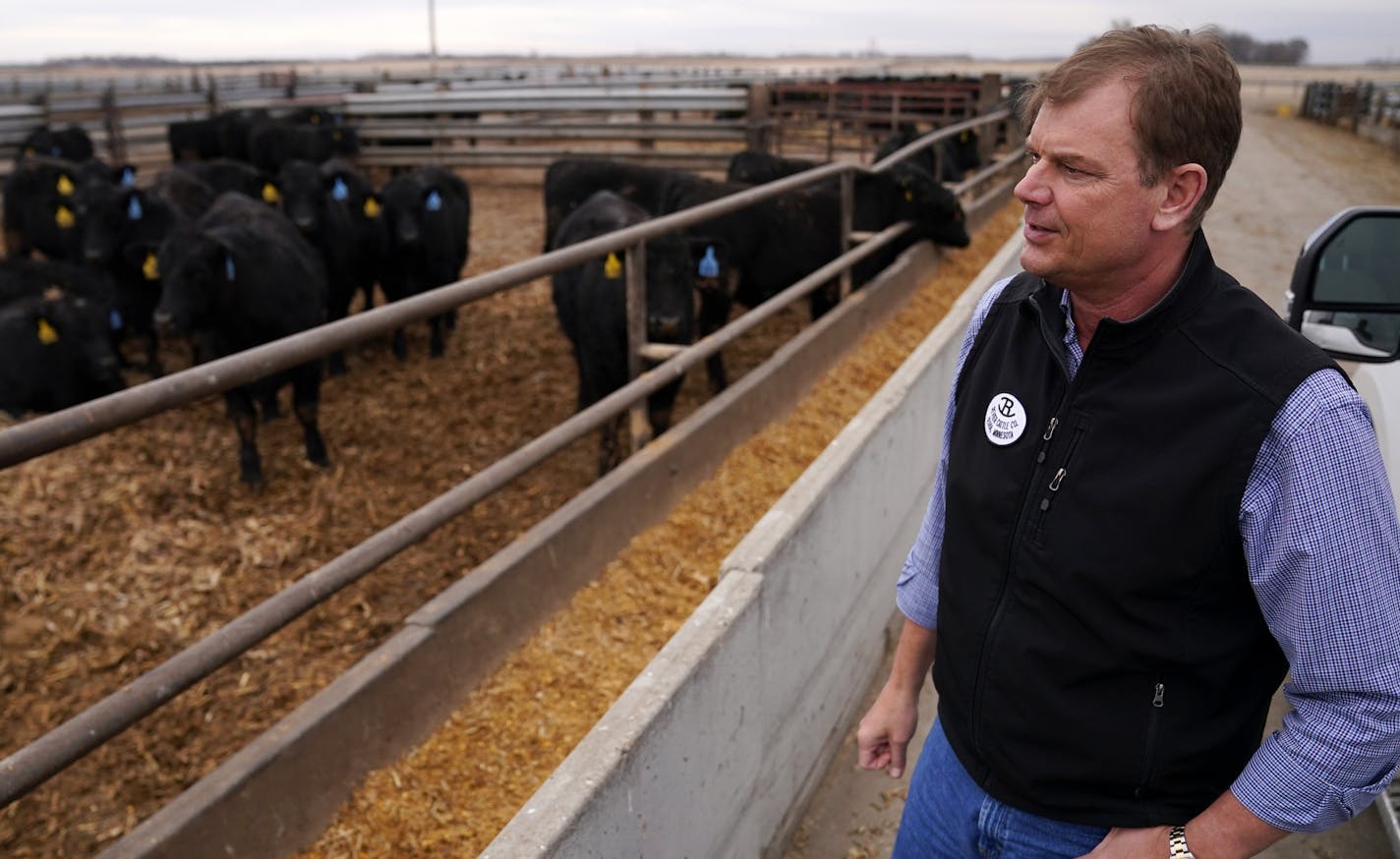 Tom Revier looked over a pen full of black angus steers that are about 60-days from sending to slaughter during a tour of his facility. ] ANTHONY SOUFFLE • anthony.souffle@startribune.com Former Cargill executive Paul Hillen, President and Chief Operating Officer of the Revier Brand Group, LLC at the Revier Cattle Company, and Tom Revier, owner of the 159-year-old beef cattle farm, who teamed up to bypass the commodity beef industry and produce their own branded beef, gave a tour of their facili