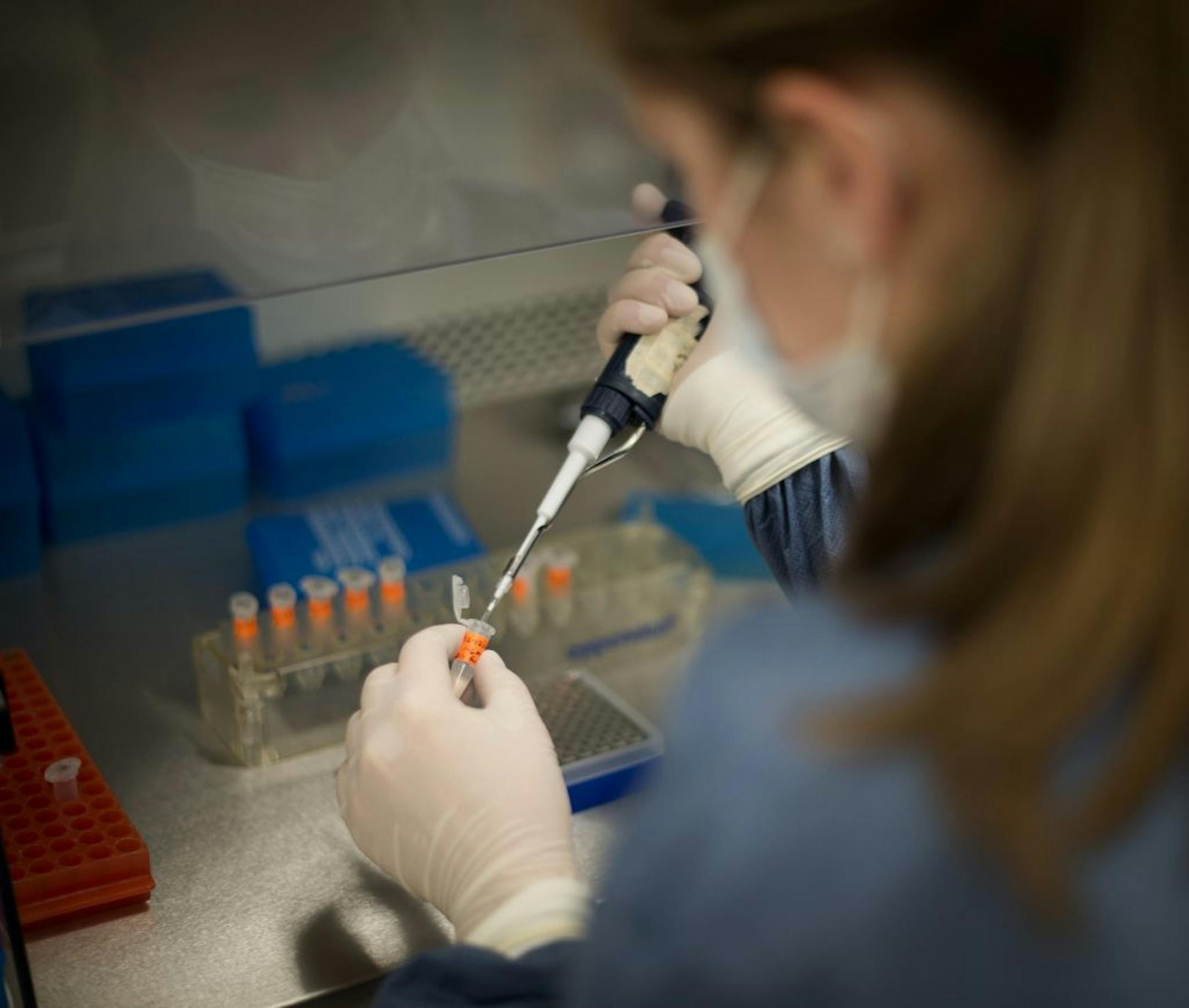 A Bureau of Criminal Apprehension forensic scientist prepared DNA samples for testing.
