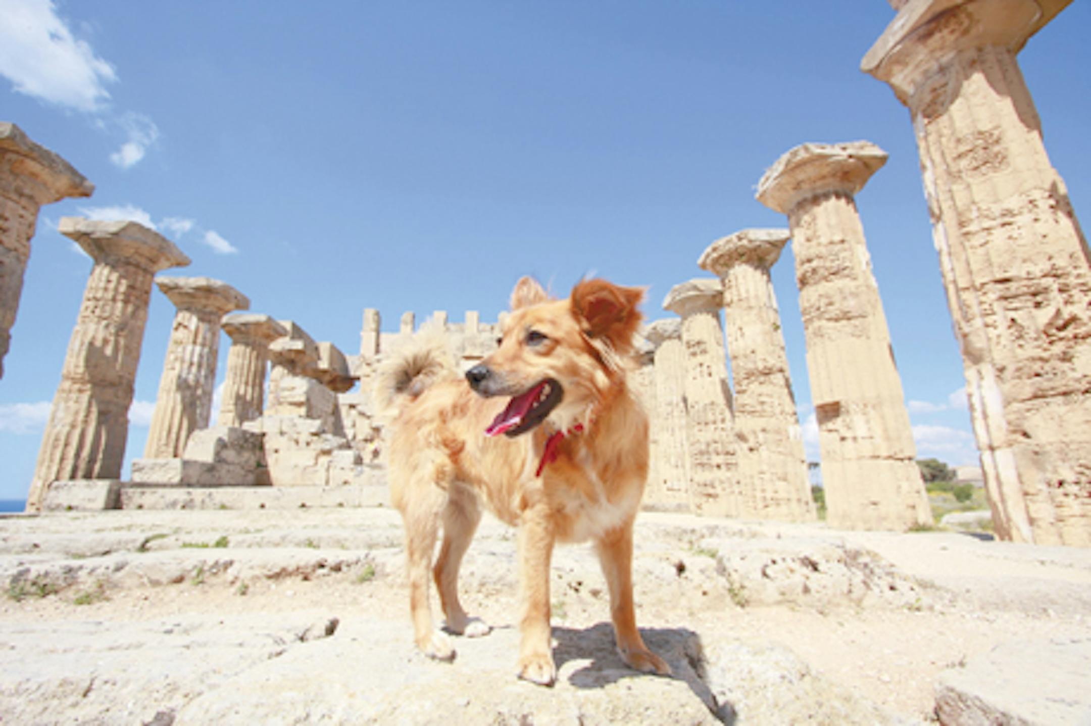 ©istockphoto.com/pinobarile