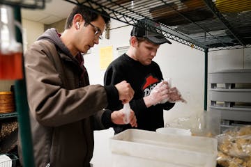 At the start of his Pizza Hut shift in Hopkins, Josh Brady, 28, right, prepares to count out and bag boneless chicken wings as his brother Dan, who is