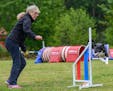 Dawn Wessels of the Twin Cities area is among about 30 agility dog owners and trainers who are demonstrating their sport and their specially trained c