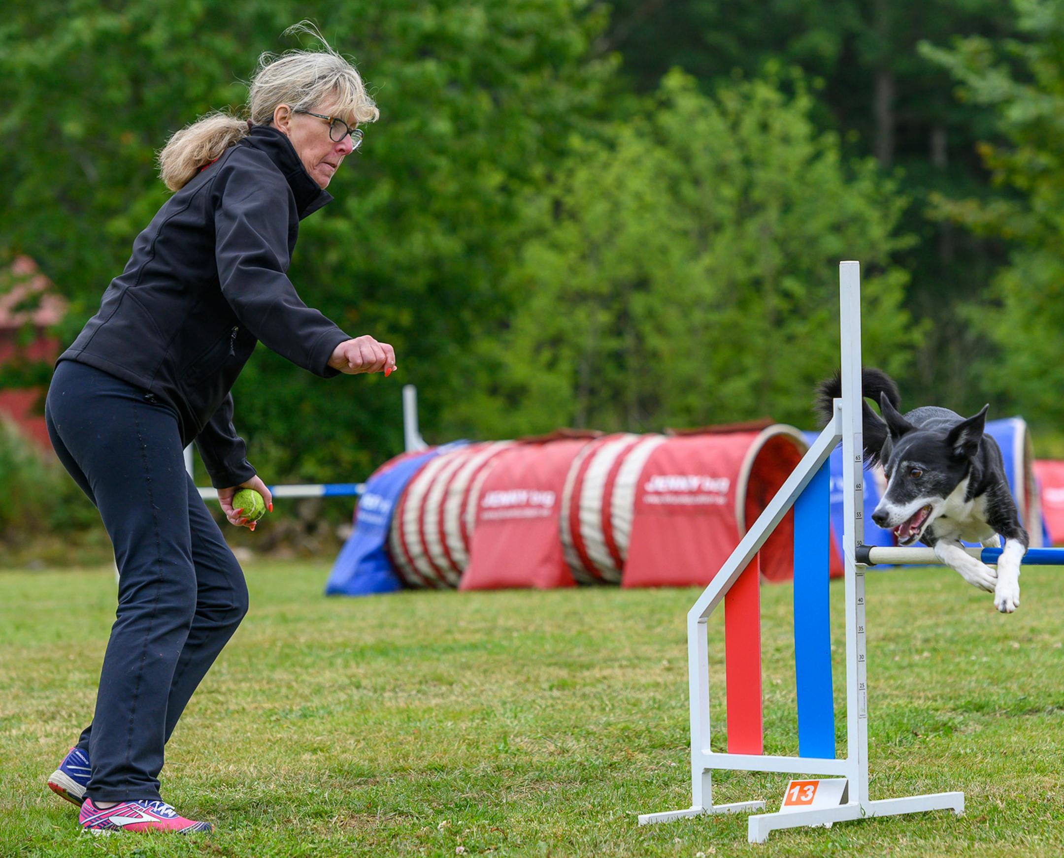 Dawn Wessels of the Twin Cities area is among about 30 agility dog owners and trainers who are demonstrating their sport and their specially trained canines at Game Fair in Ramsey. This photo was taken in Sweden recently, where Wessels trained with her border collie, Jia.