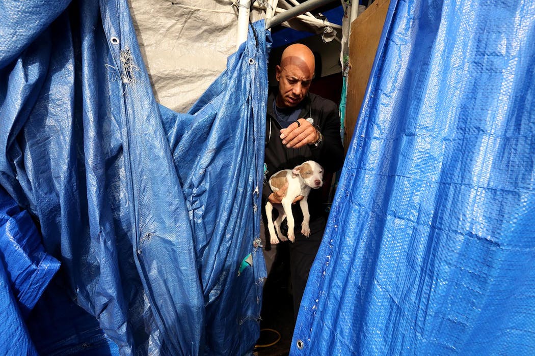  Dr. Kwane Stewart exited the tent of Hector Abadan to examine one of Abadan’s puppies.