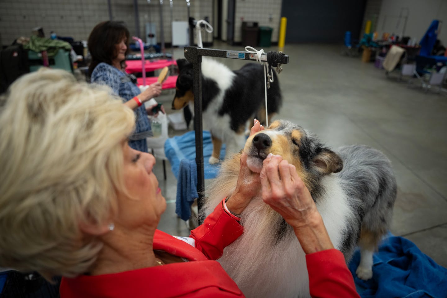 Land o lakes 2024 dog show 2019