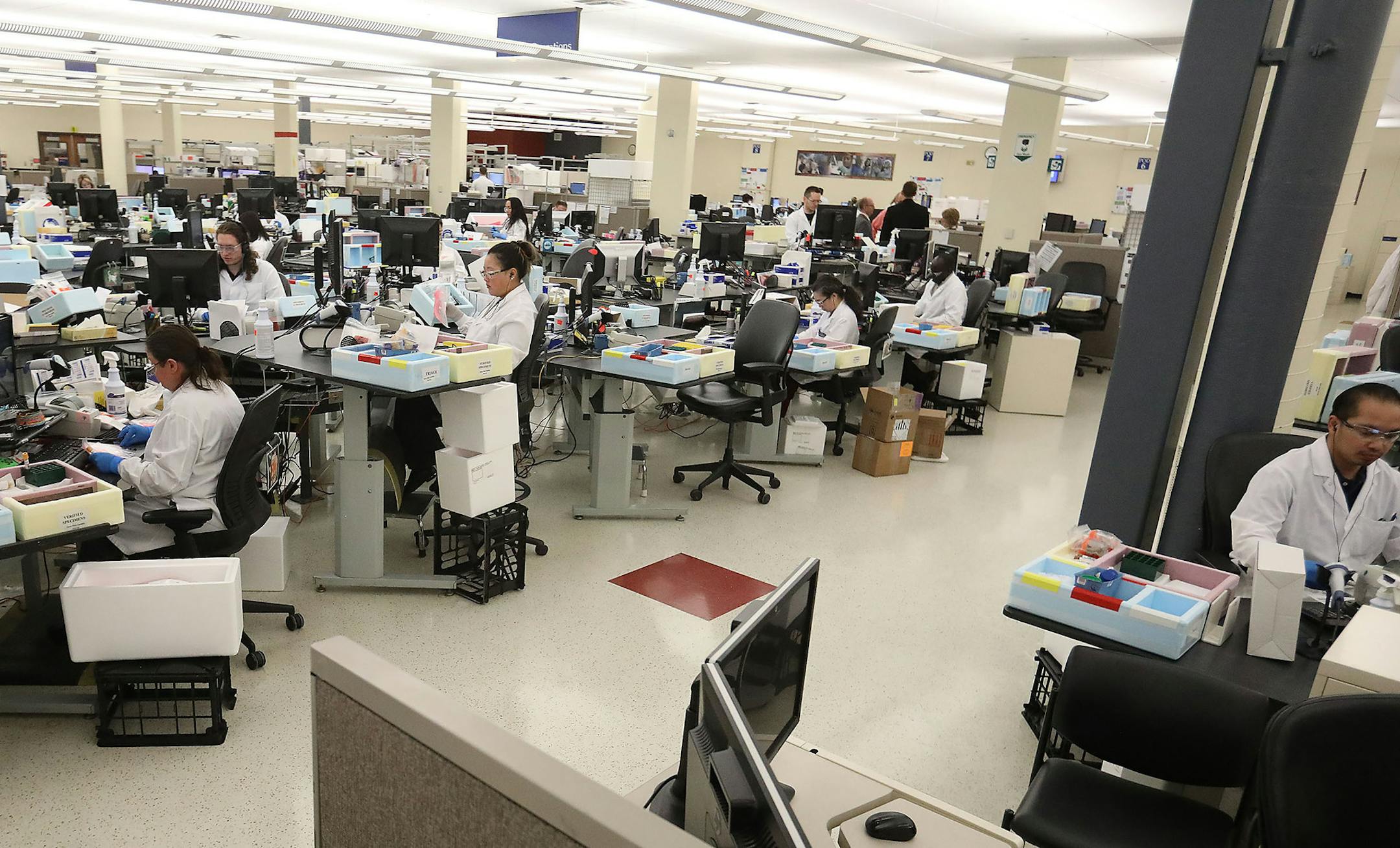Mayo Clinic lab workers logged in specimen samples in Rochester.