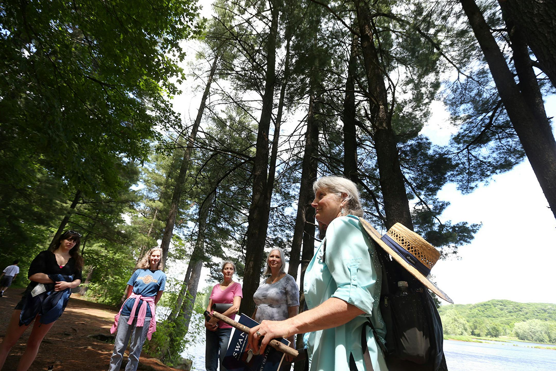 Christine Brandt, right, a certified forest therapy guide led a small group on walk of at William O'Brien State Park Sunday June 2, 2016 in Marine on St. Croix, MN.