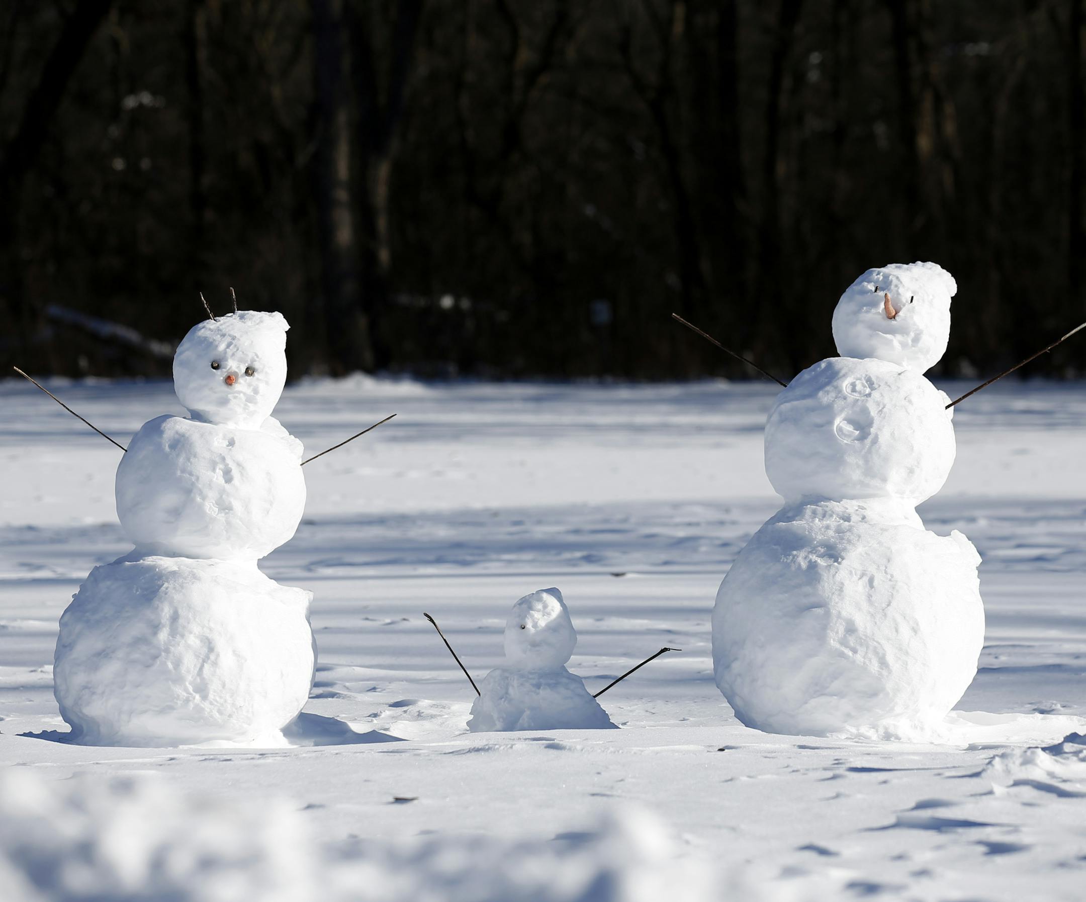 Two snowman stand in a park on Thursday, Dec. 15, 2016, in Prospect Heights, Ill. Dangerously cold temperatures gripped the Upper Midwest in advance of a storm that's expected to bring several inches of snow in coming days, while schools and officials in the Northeast braced for their own blast of wintry weather.(AP Photo/Nam Y. Huh)