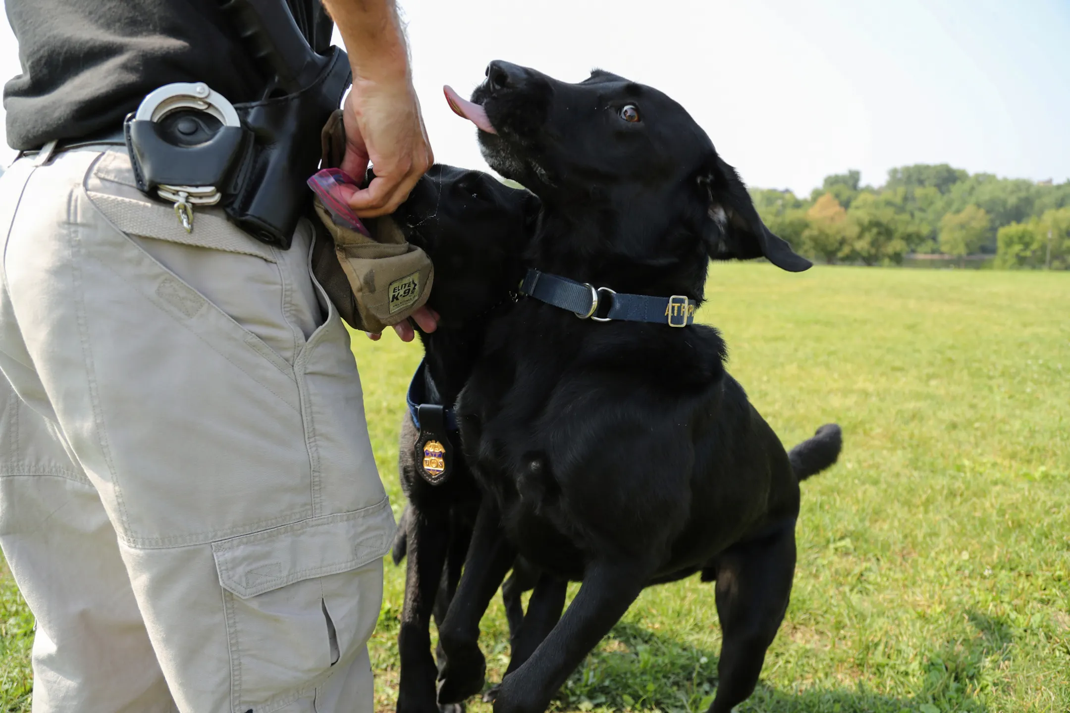 New ATF bomb dog in St. Paul got its start from behind bars