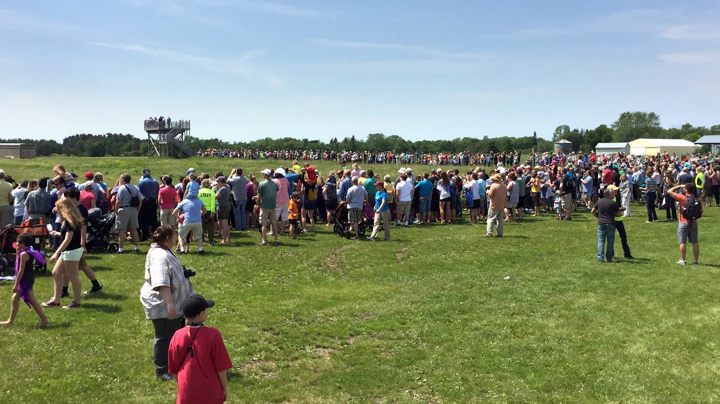 Crowds of onlookers gathered Saturday, June 6, 2015, to watch the release of about 35 young male bison at Belwin Conservancy in the St. Croix Valley. The bison help aerate the soil, spread seed as its herd moves, and shed fur that wild birds make into nests. Photo provided by the Belwin Conservancy