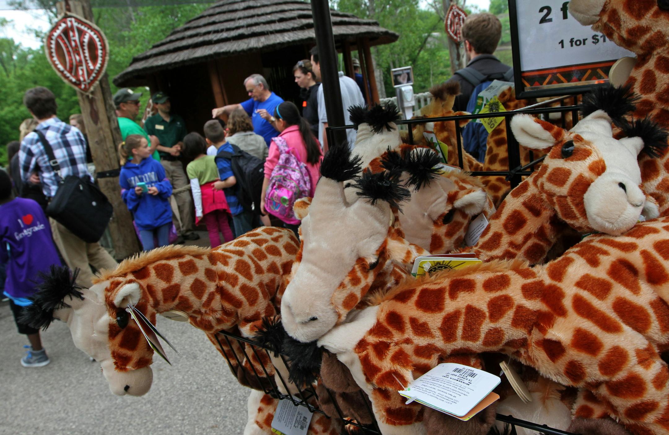 (left to right) Stuffed giraffe toys were on display next to the giraffe feeding station at the Minnesota Zoo's Africa exhibit on 5/29/13.] Bruce Bisping/Star Tribune bbisping@startribune.com