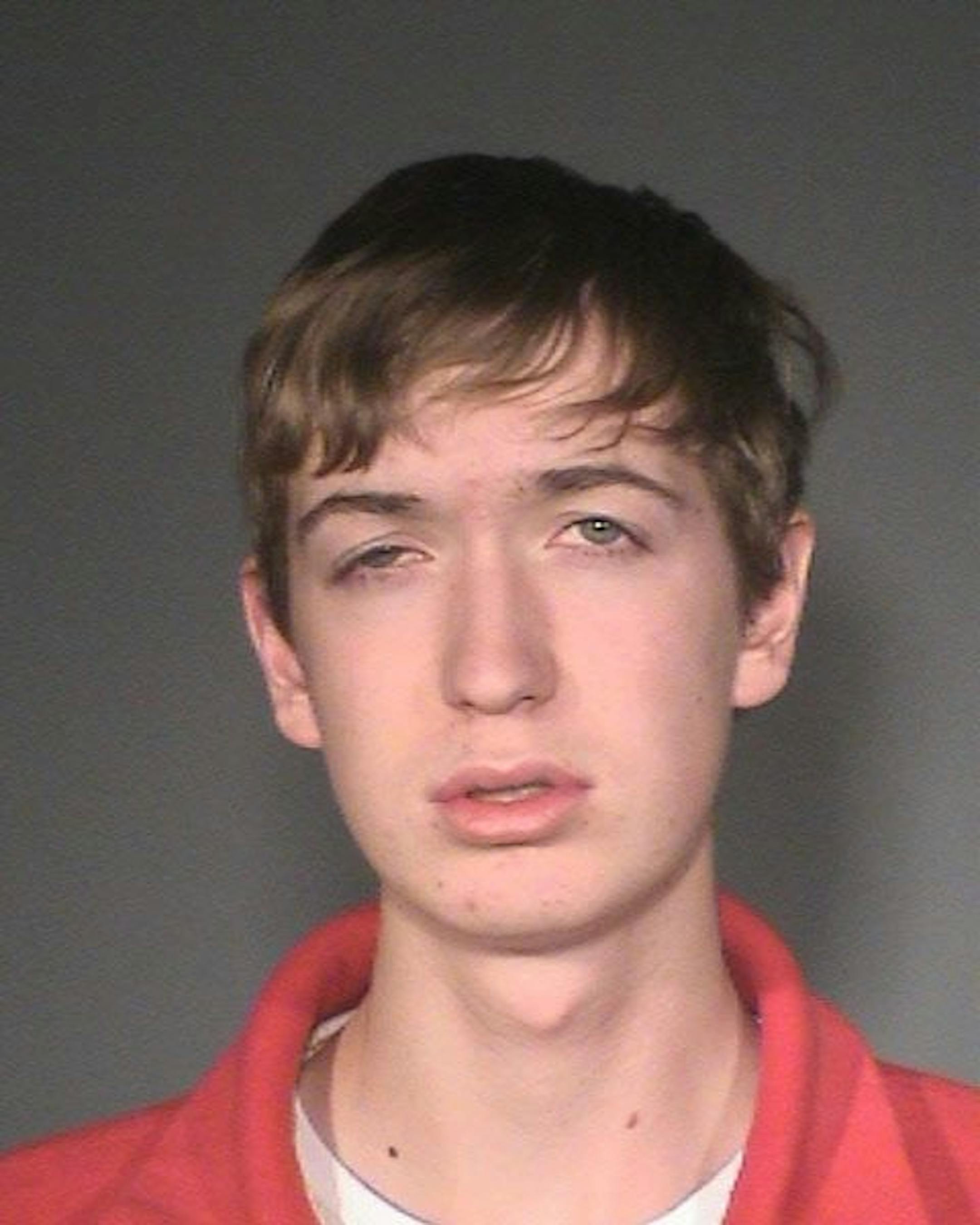 Alistair Berg, 17, murder suspect.