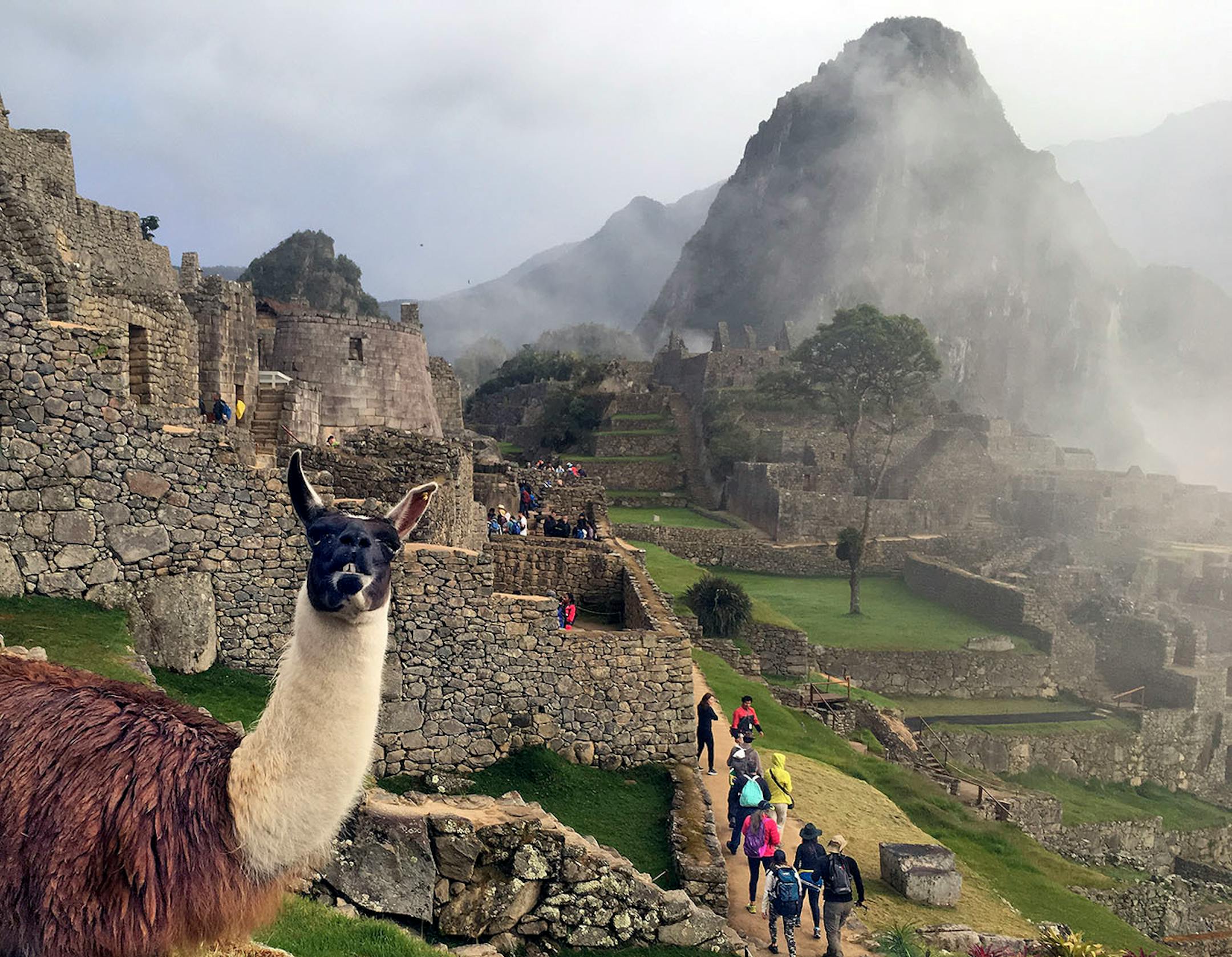 One of the world's most-photographed heritage sites, the Incan citadel of Machu Picchu looks even more awesome in person.