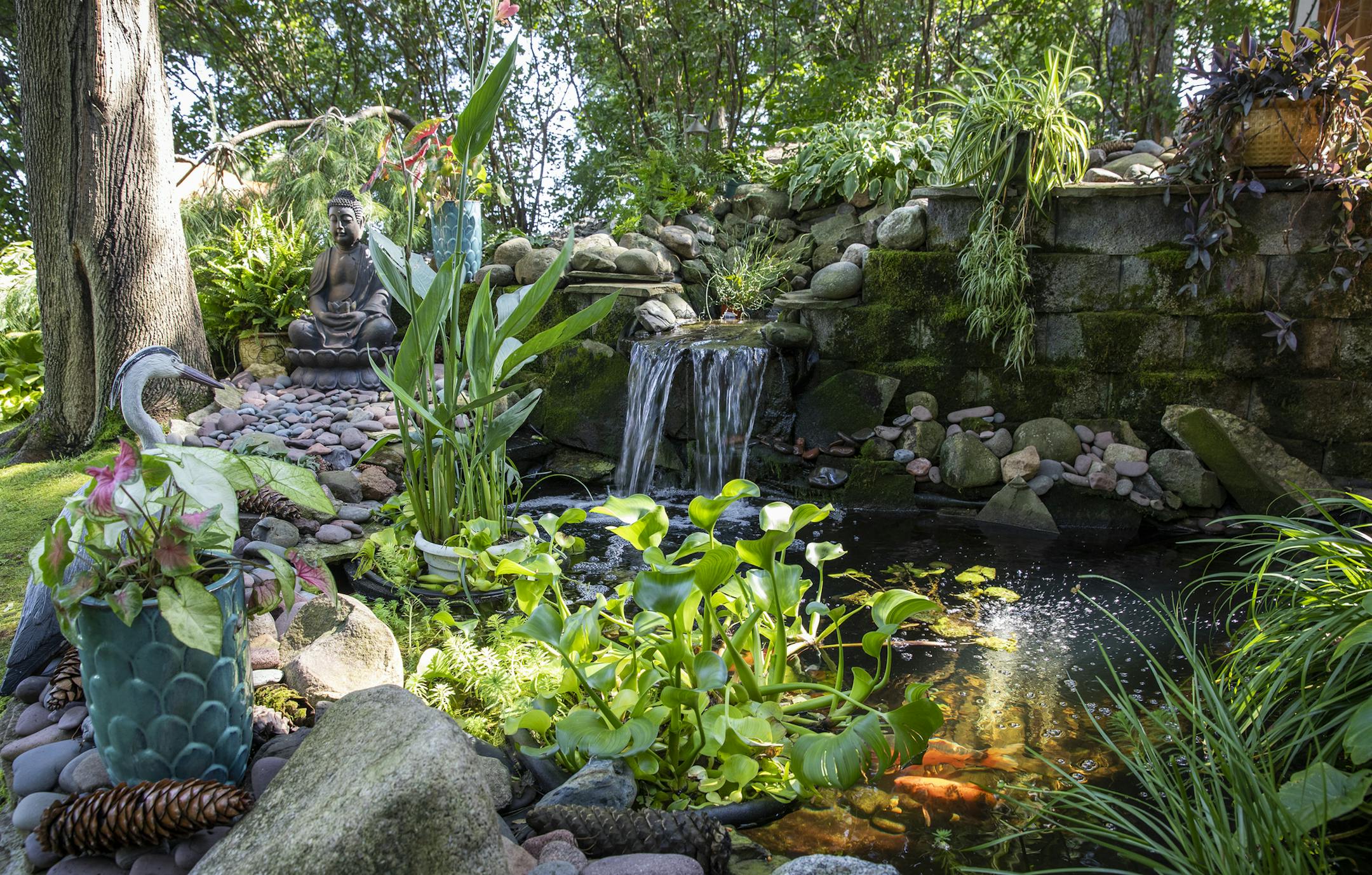 The expansive gardens created by Diane and John Harvey include a 3,000-gallon koi pond.