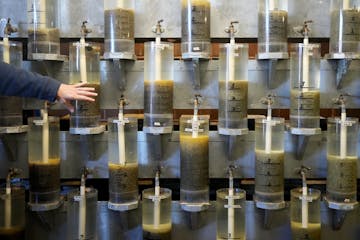 Hatchery specialist Andrew Scholten points out hatching jars full of walleye eggs during a public open house Wednesday at the Waterville State Fish Ha