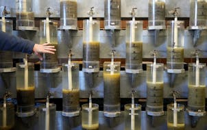 Hatchery specialist Andrew Scholten points out hatching jars full of walleye eggs during a public open house Wednesday at the Waterville State Fish Ha