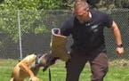 Seventeen police canines and their human partners graduated from St. Paul's K-9 training program. A program featuring obedience, agility and suspect a