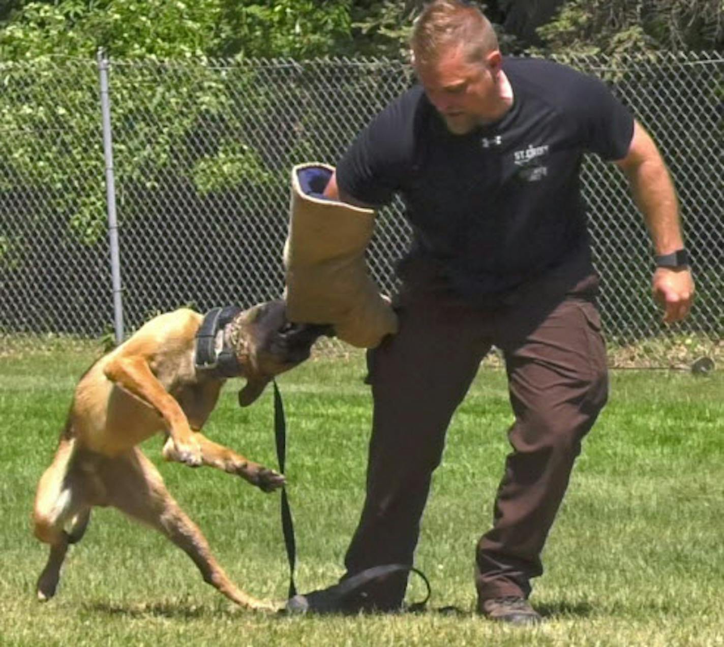 Seventeen police canines and their human partners graduated from St. Paul's K-9 training program. A program featuring obedience, agility and suspect apprehension was given in front of a crowd of dozens at the Timothy J. Jones Canine Training Facility in Maplewood on Thursday, May 24, 2018.