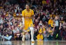 Gophers guard Elijah Hawkins has entered the transfer portal after saying last month that he would return to Minnesota next season.