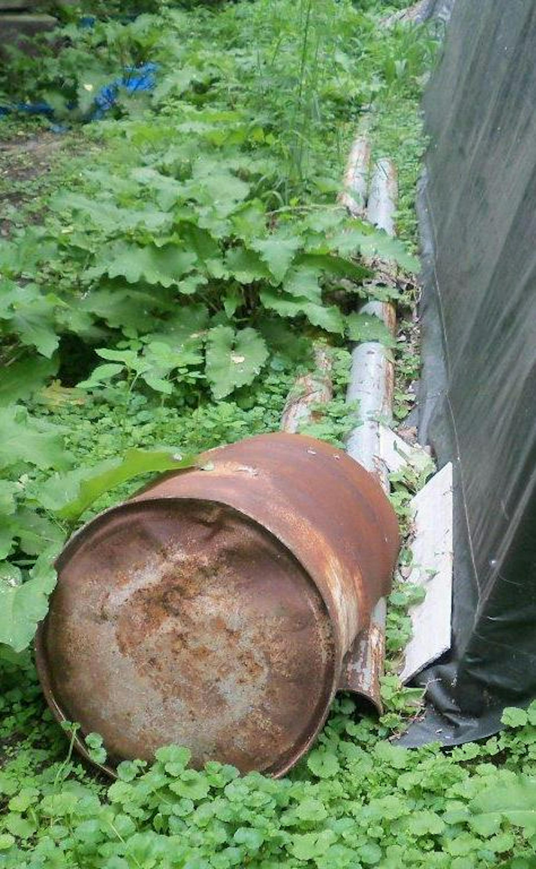 Another photo, showing junk on the Barth property, that was offered as evidence by the city of Orono that James Barth was violating a city ordinance. A judge ordered him to serve five days in the workhouse.