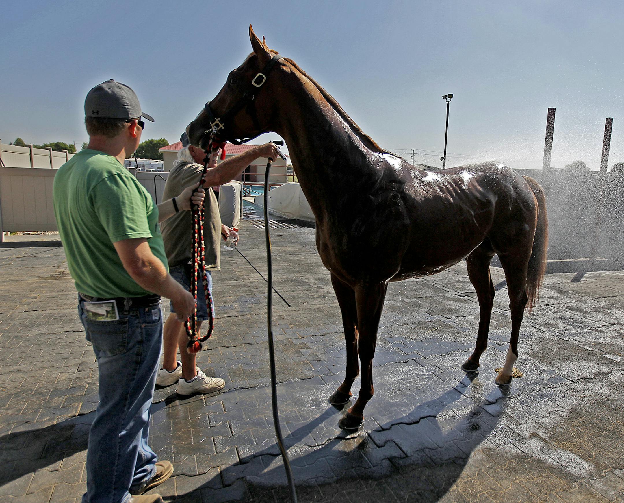 Don Bridge rinsed off a horse before it made its way around the pool at Canterbury Park, Wednesday, July 3, 2013 in Shakopee, MN. Shakopee is one of two racing tracks that have a lap pool for horses. (ELIZABETH FLORES/STAR TRIBUNE) ELIZABETH FLORES &#x2022; eflores@startribune.com