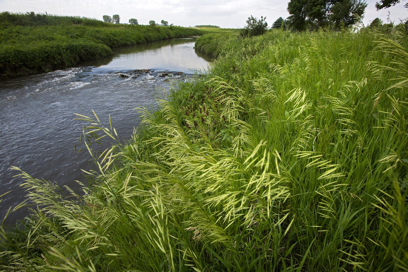 A buffer strip of grass and trees along the Rock River west of Edgerton is a good example of the protective strips that help filter runoff. ] In the small town of Edgerton where a shallow aquifer readily absorbs leaching farm chemicals, residents pay extra every month for special treatment to make their water safe to drink. The nitrate-removal system -- now woven into the infrastructure of this heavily Dutch settlement - reflects the dilemma that a number of communities are having across Minneso