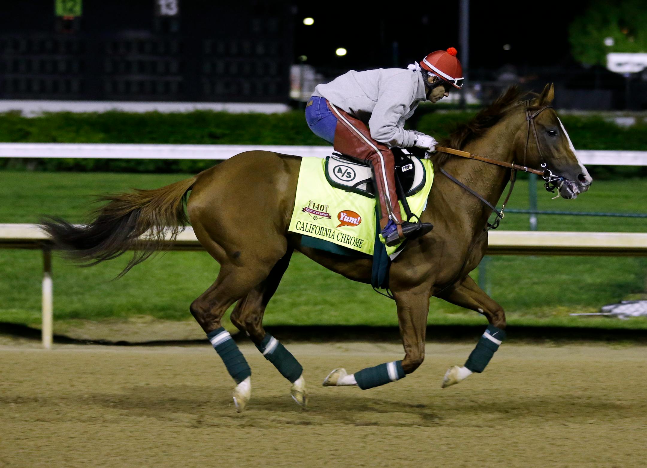 Exercise rider William Delgado takes Kentucky Derby entrant California Chrome for a morning workout during a morning workout at Churchill Downs Friday, May 2, 2014, in Louisville, Ky. (AP Photo/Morry Gash)