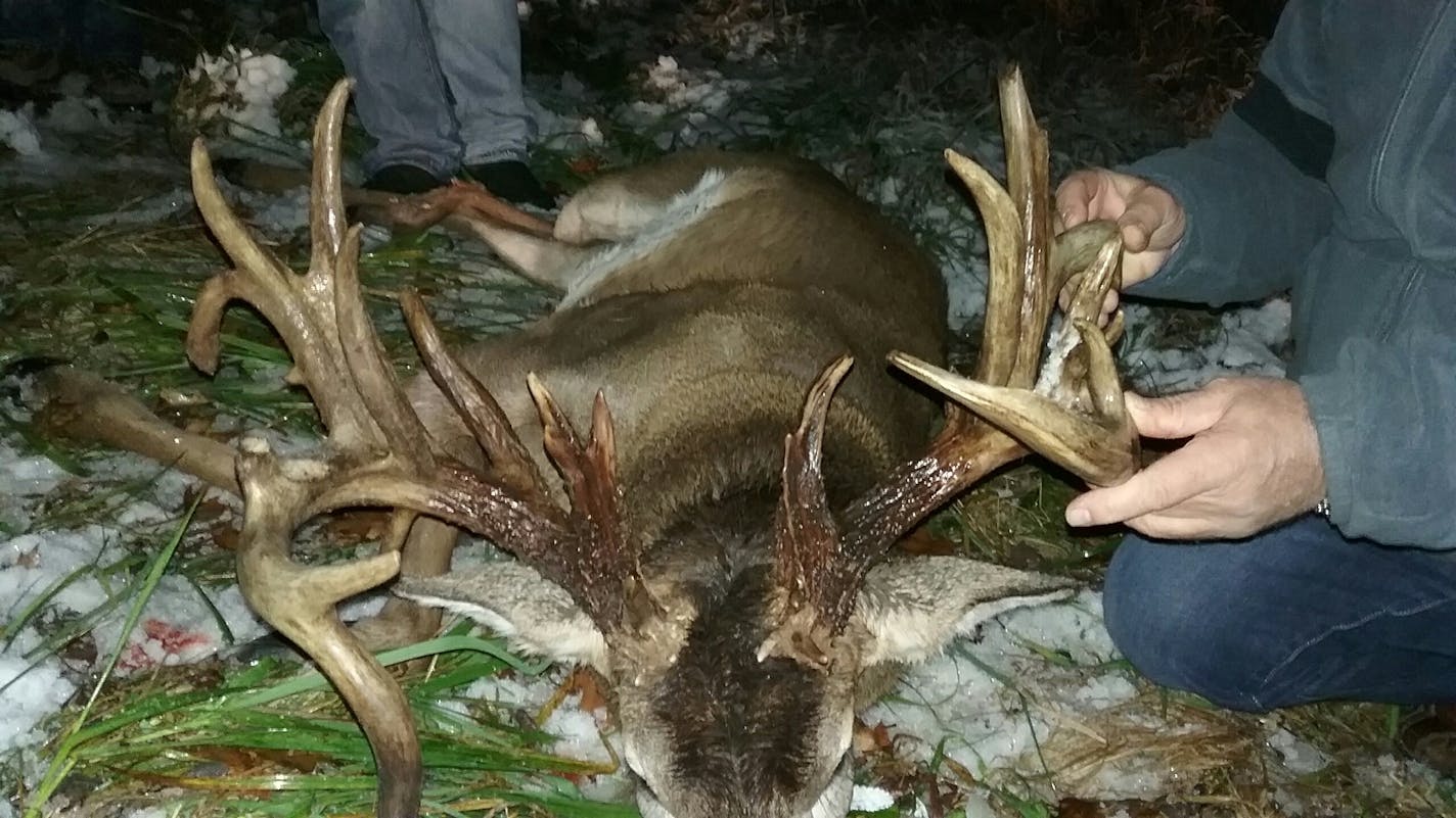 The legendary Comstock buck met a fateful end Thansgiving night when it was killed by a vehicle near Cumberland, Wis. The deer had at least 26 measurable points.