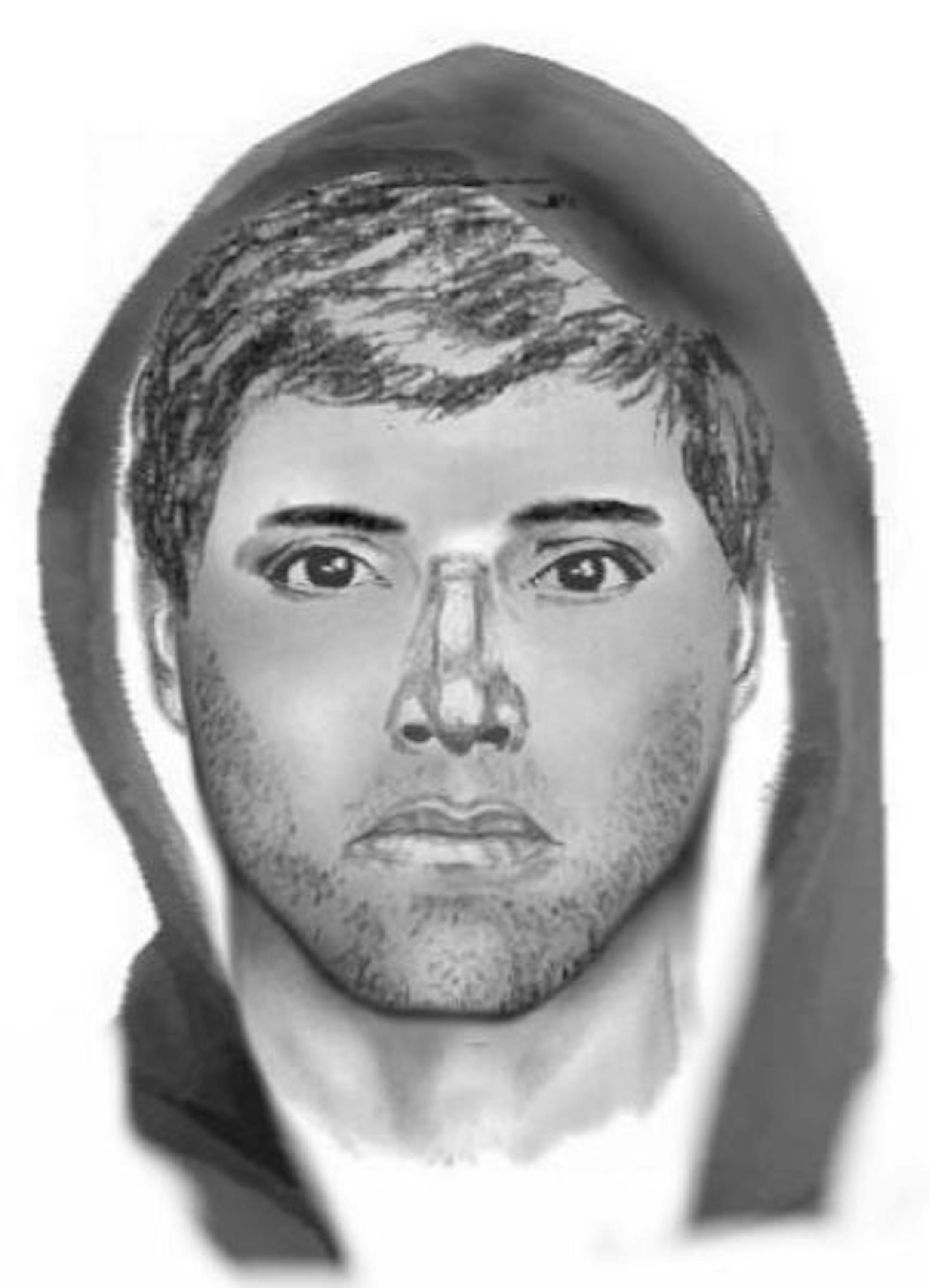 A sketch of the suspect in a late-night sexual assault along I-35 near Esko, Minn.