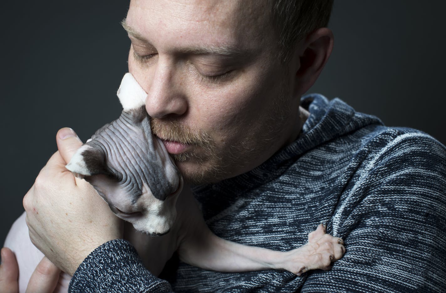 Brian Tripp kisses his Sphynx "Sigur" on Thursday night. ] (Aaron Lavinsky | StarTribune) Meet some of the furry contenders aiming to become Top Cat at the upcoming Saintly City Cat Club annual Cat Show in St. Paul. Brian Tripp has 6 cats in all! But he's only showing three of them - Beau, a Burmese kitten; Atomic Kitten, his Bombay beauty, and an adult feline that's seriously eye-catching named Sigur. The adult cat is a Sphynx - one of those hairless numbers with bright blue eyes. Tripp was pho