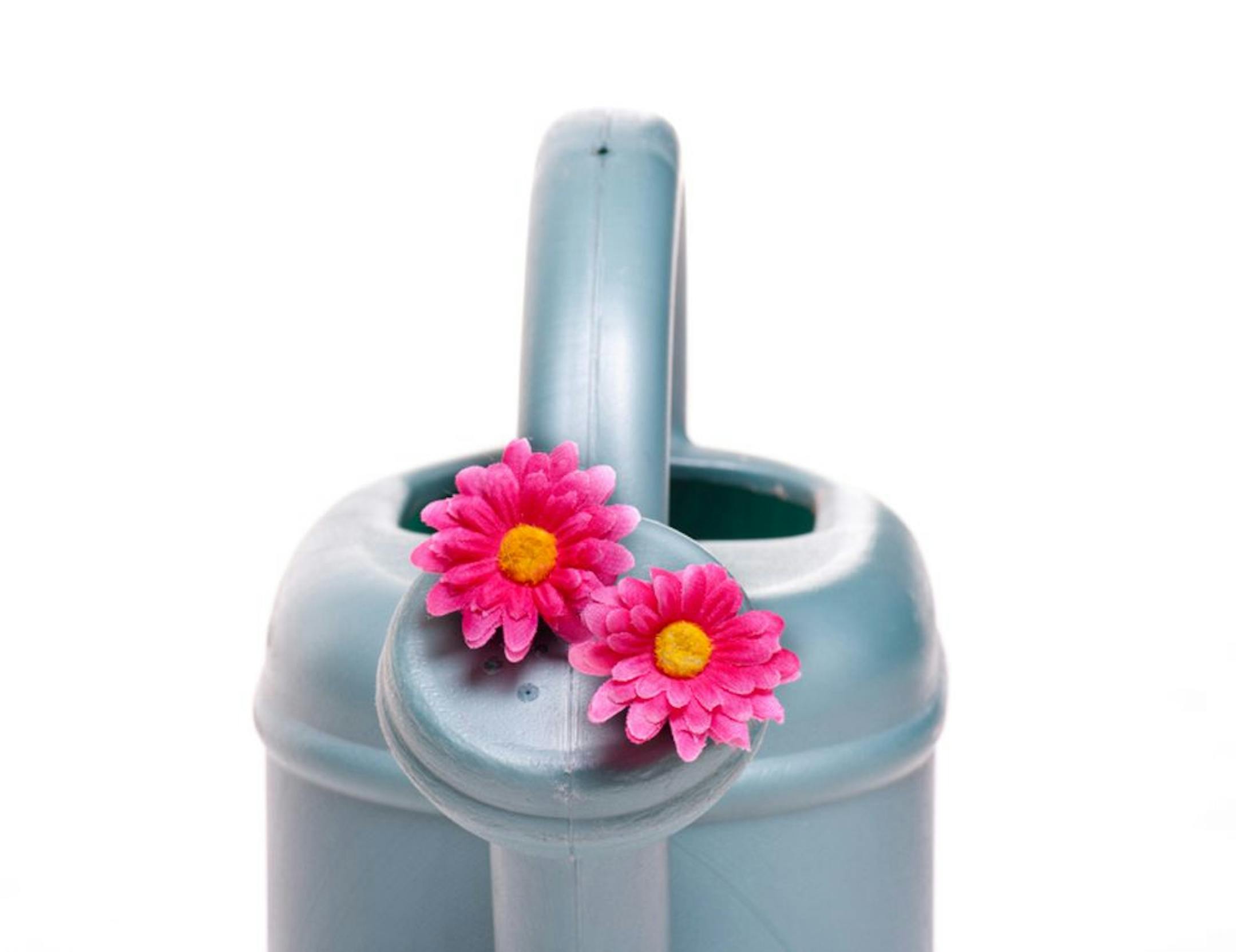 istockphoto.complastic watering can to water the plants in the garden