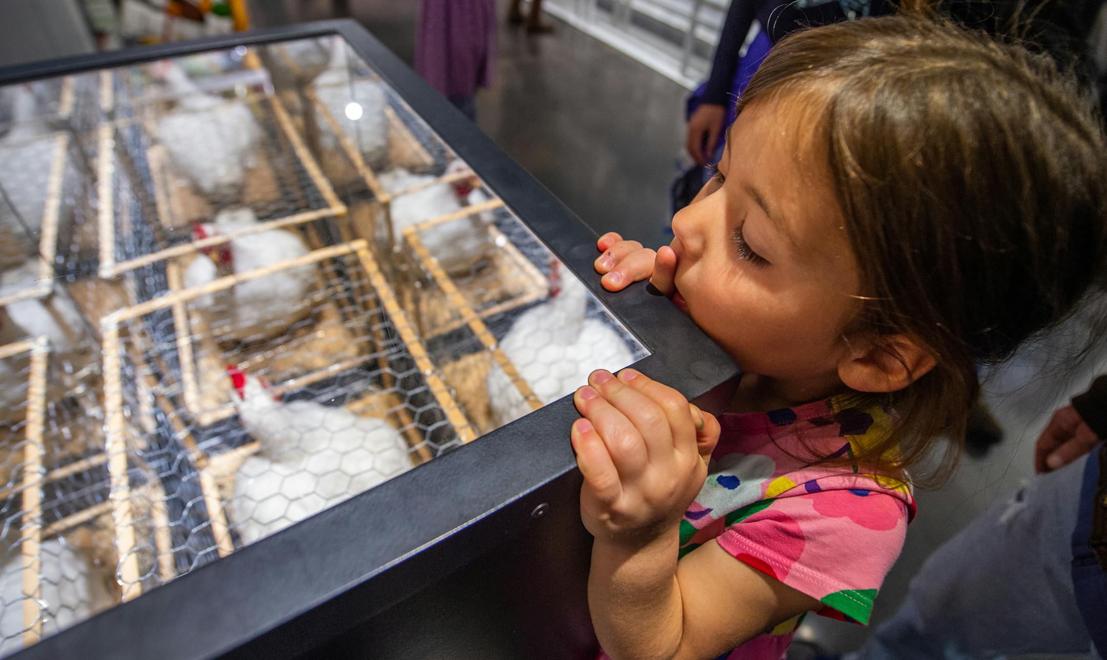 A young visitor explored an installation about chickens and animal welfare at the "Our Global Kitchen" exhibit.
