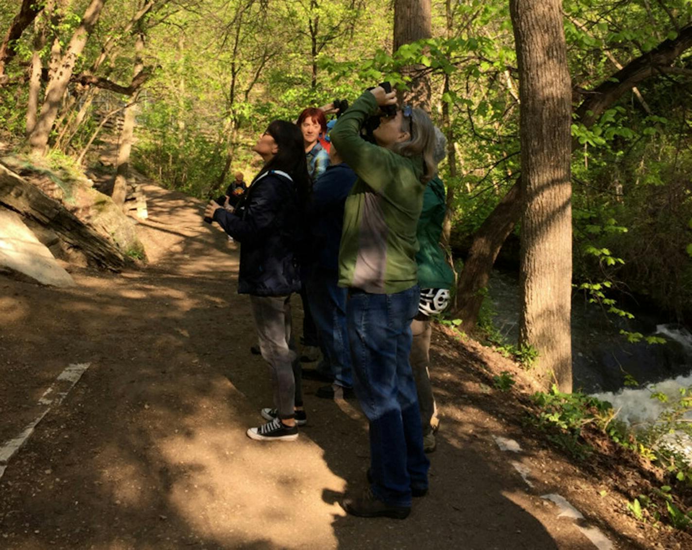 Urban Birding Collective members keep their eyes on the skies.