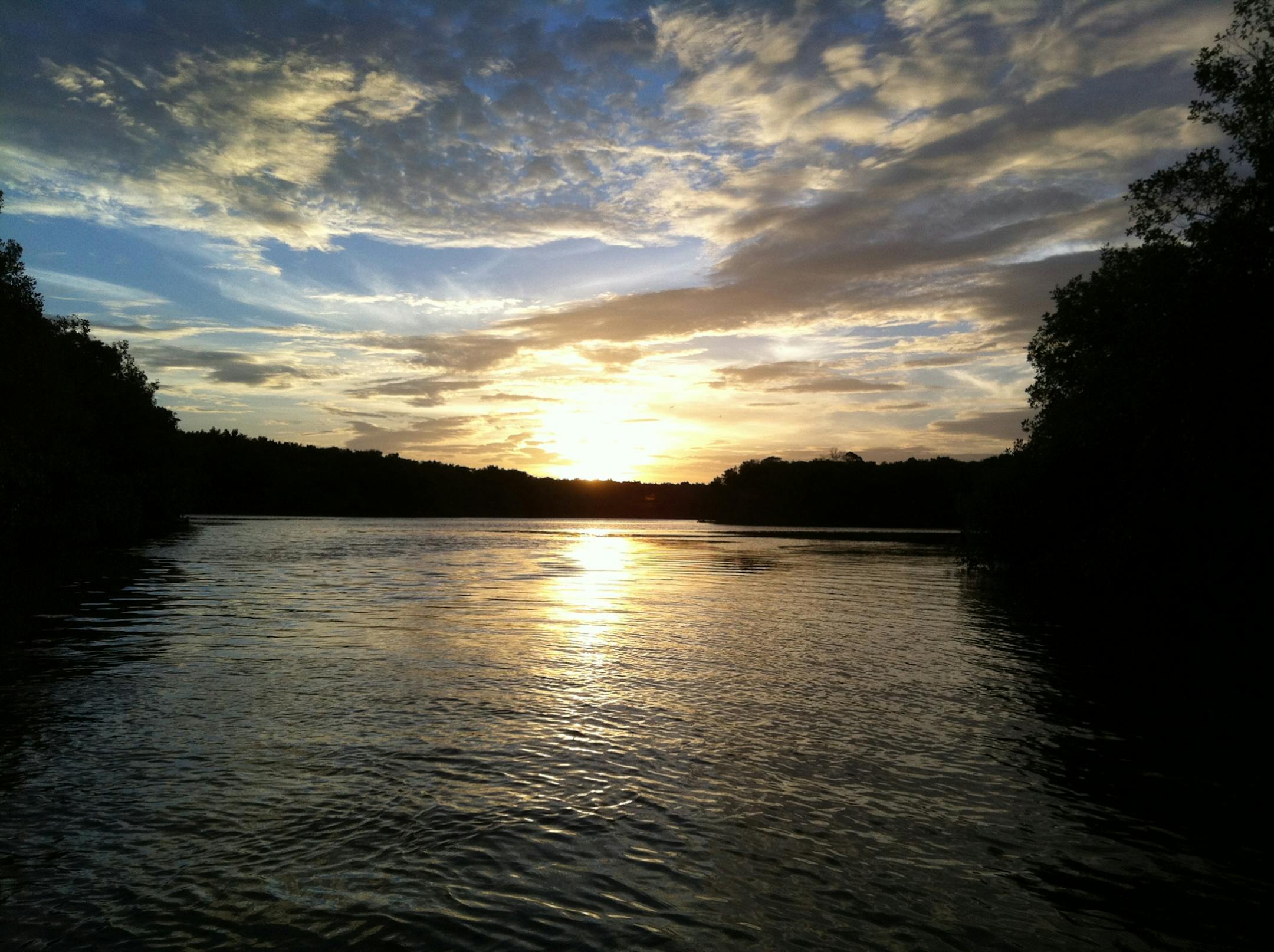 Trinidad's Caroni Swamp at dusk.