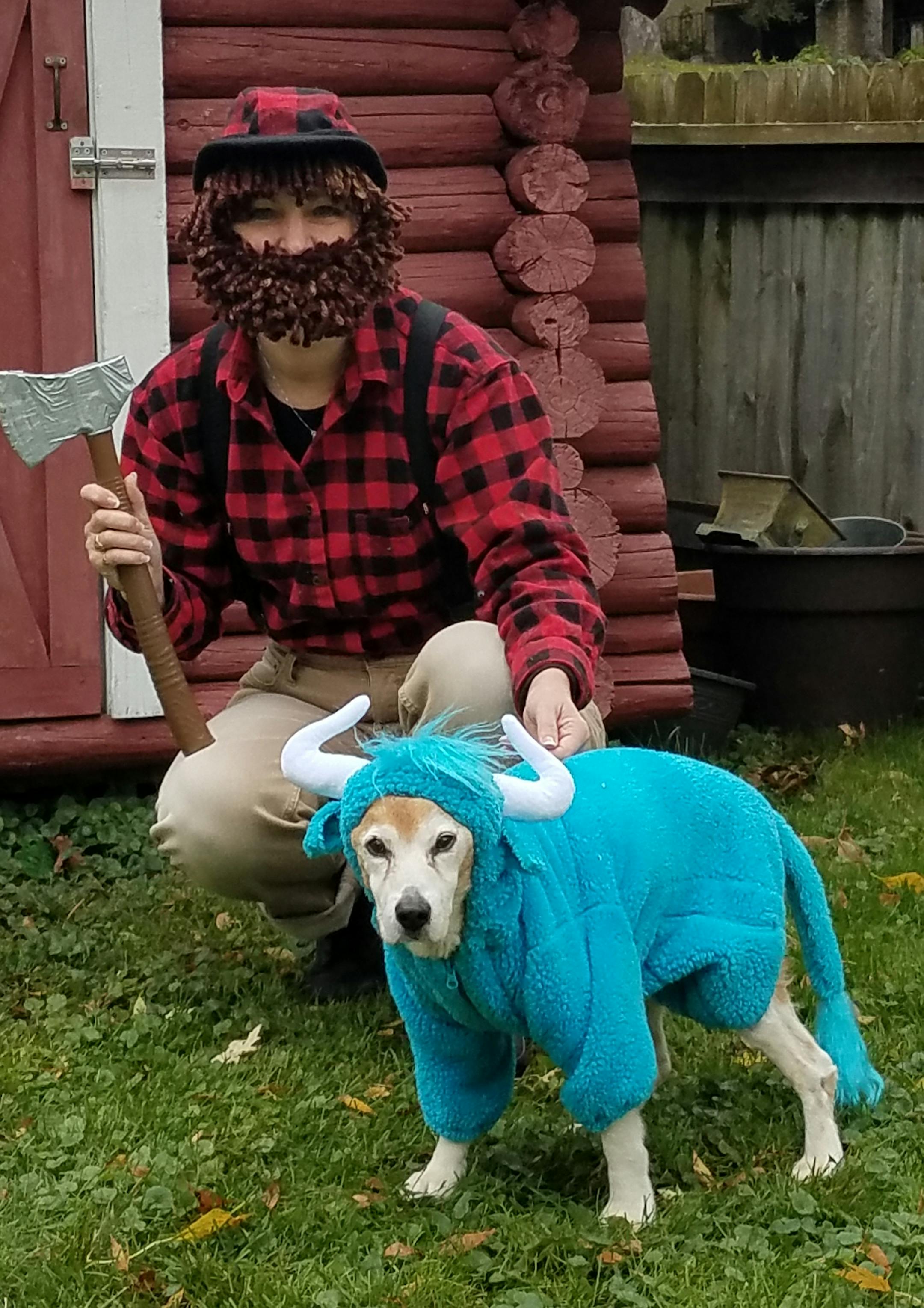 Minnesota inspired:
Owner: Becky Groseth, of Columbia Heights
Comment: To pass out treats and go to Halloween parties, Casey, a 15-year-old beagle (@caseythetravelingbeagle), and his owner have dressed up as Snoopy and Woodstock, Mickey and Minnie Mouse, a Girl Scout and a Cub Scout and Little Bo Peep and her sheep. “It’s always a big reveal to see what Casey is going to be,” Groseth said. For their Minnesota-inspired entry, they became Paul Bunyan and Babe the Blue Ox. 2019
