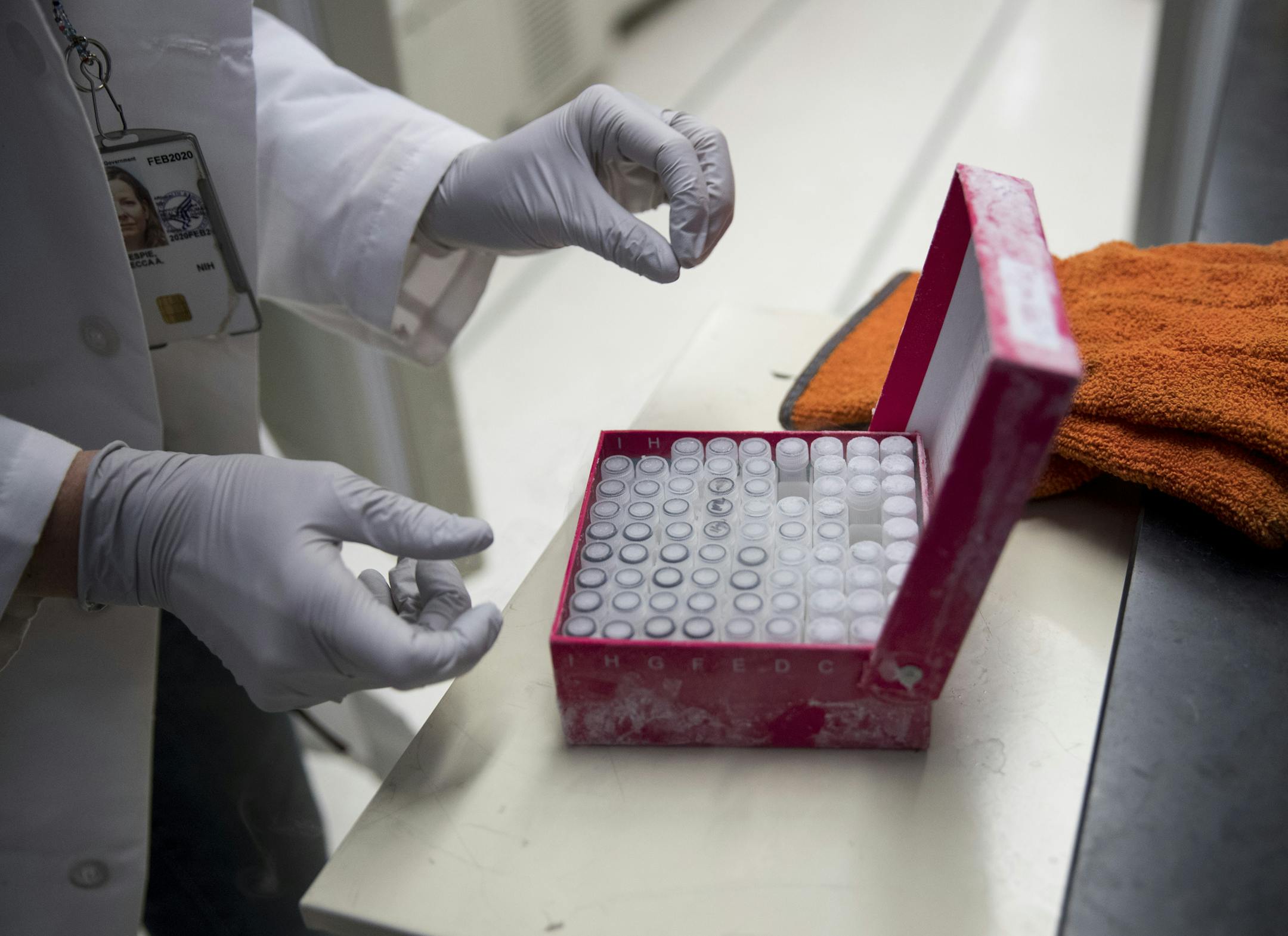Rebecca Gillespie works with a box of frozen flu virus strains at the Vaccine Research Center at the National Institutes of Health, Tuesday, Dec. 19, 2017, in Bethesda, Md. (AP Photo/Carolyn Kaster)
