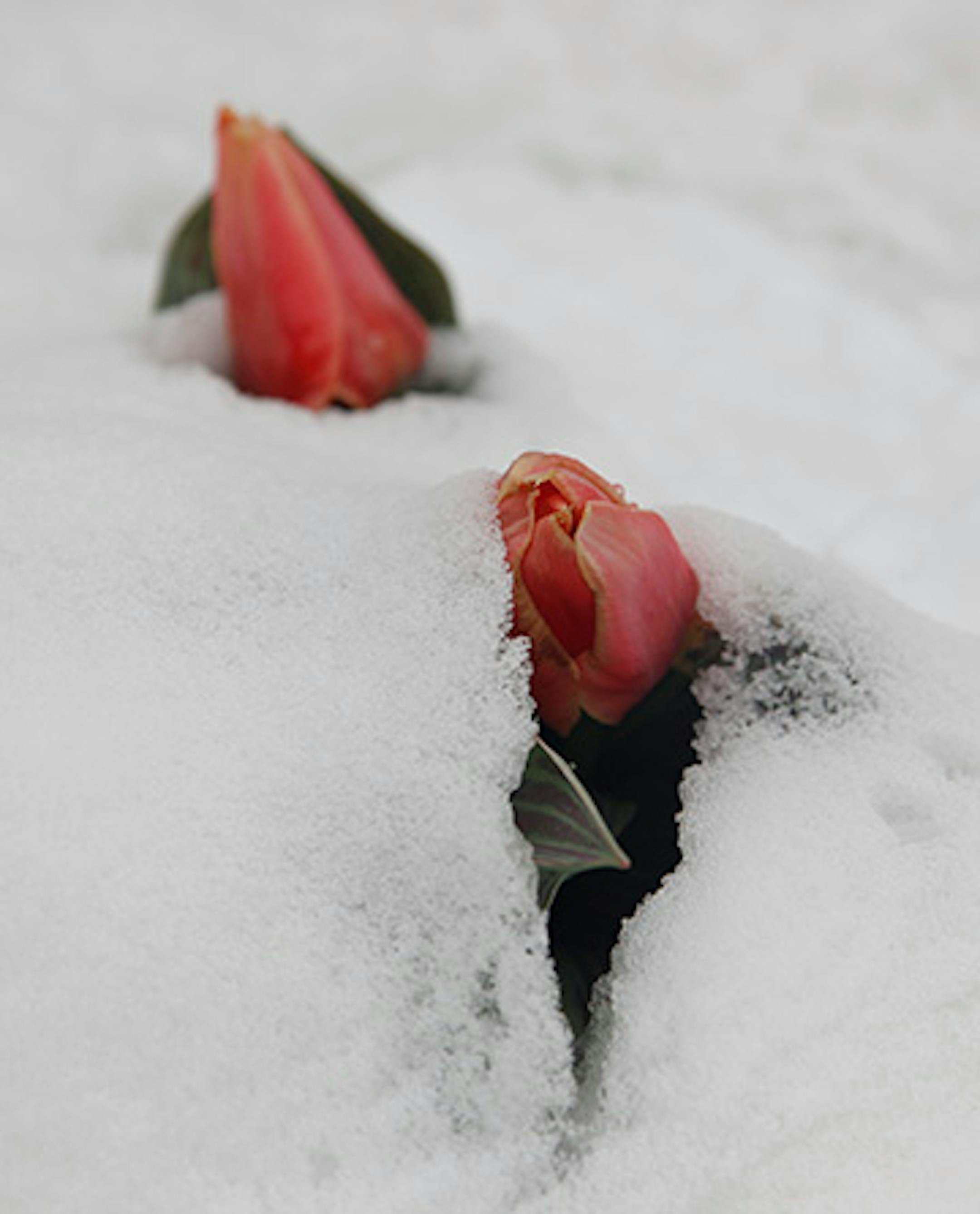 Will we finally break free from the snow?