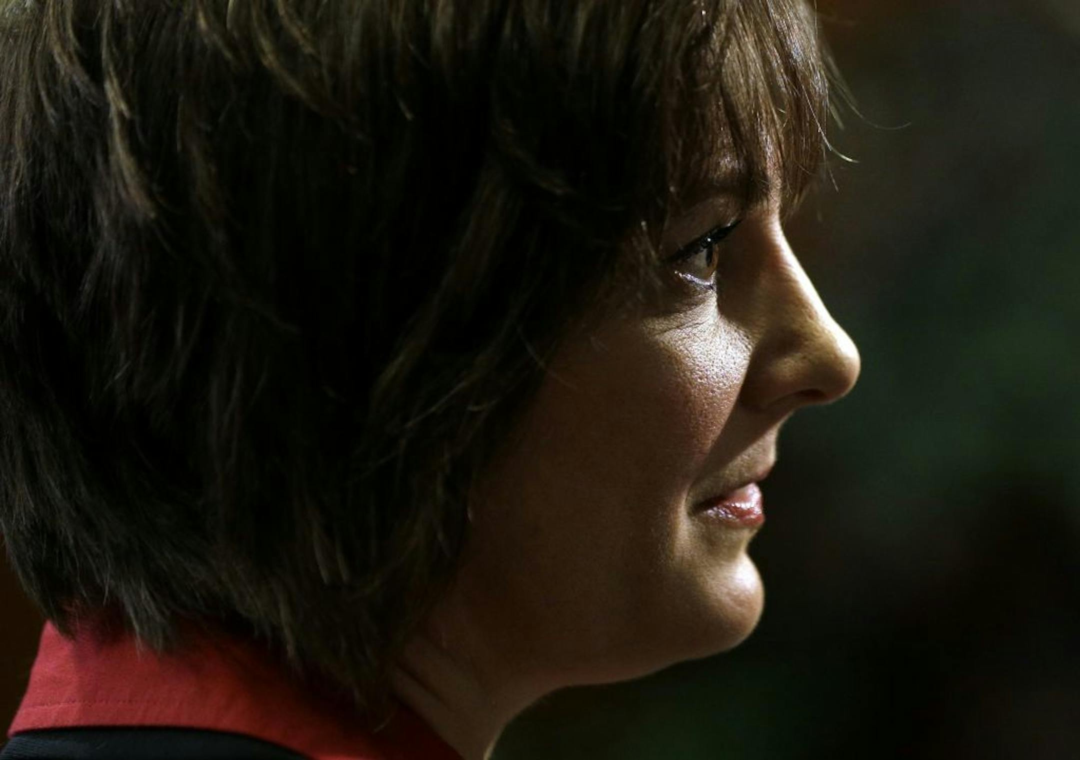 In this Oct. 30, 2013 photo, anti-revenge porn advocate Annmarie Chiarini speaks with a reporter after a news conference to announce a bill that would criminalize "revenge porn."