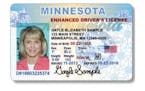 Minnesota sample identification card and drivers license.
