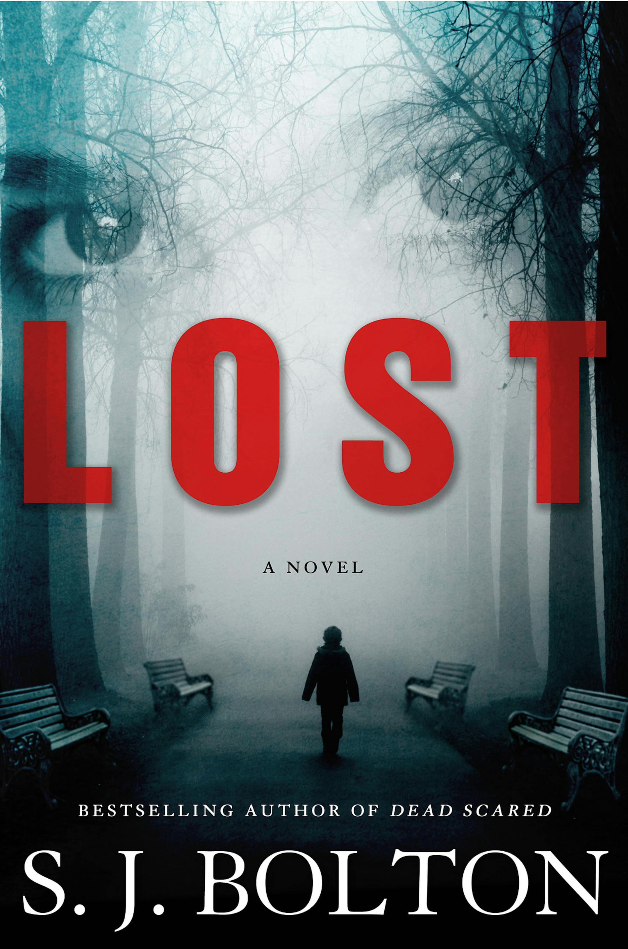 Lost: A novel By S. J. Bolton
