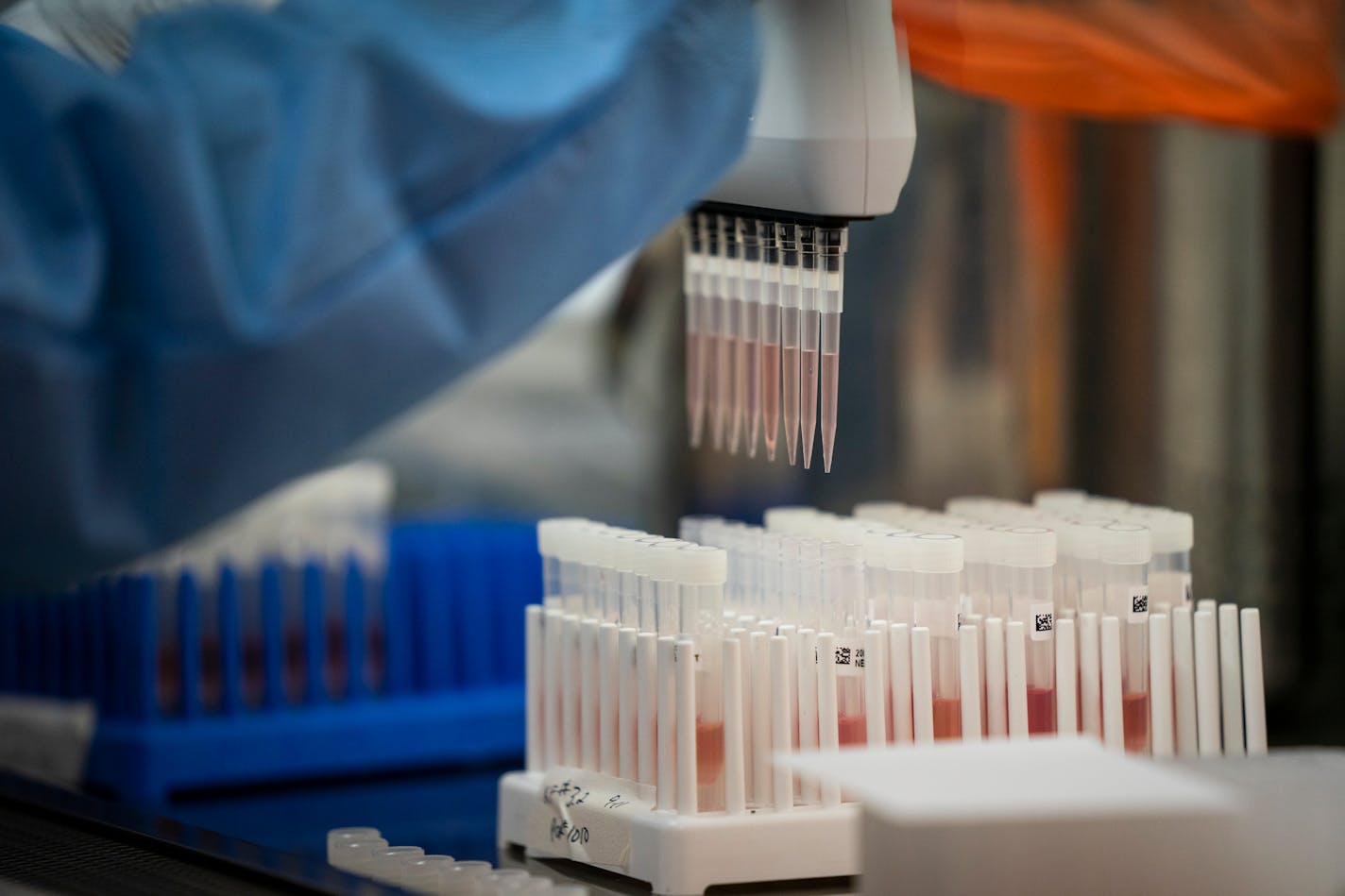 Liz Horn, a bacteriology laboratory specialist, used a multi-channel pipette to transfer the patient samples and add them to a buffer solution that will be used to extract purified nucleic acid, at the Minnesota Department of Health Virology Lab. ] LEILA NAVIDI • leila.navidi@startribune.com