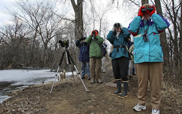 Nature enthusiasts look for signs of wildlife as they walk the trails in the 14,000-acre Minnesota Valley National Wildlife Refuge, April 4, 2008. The