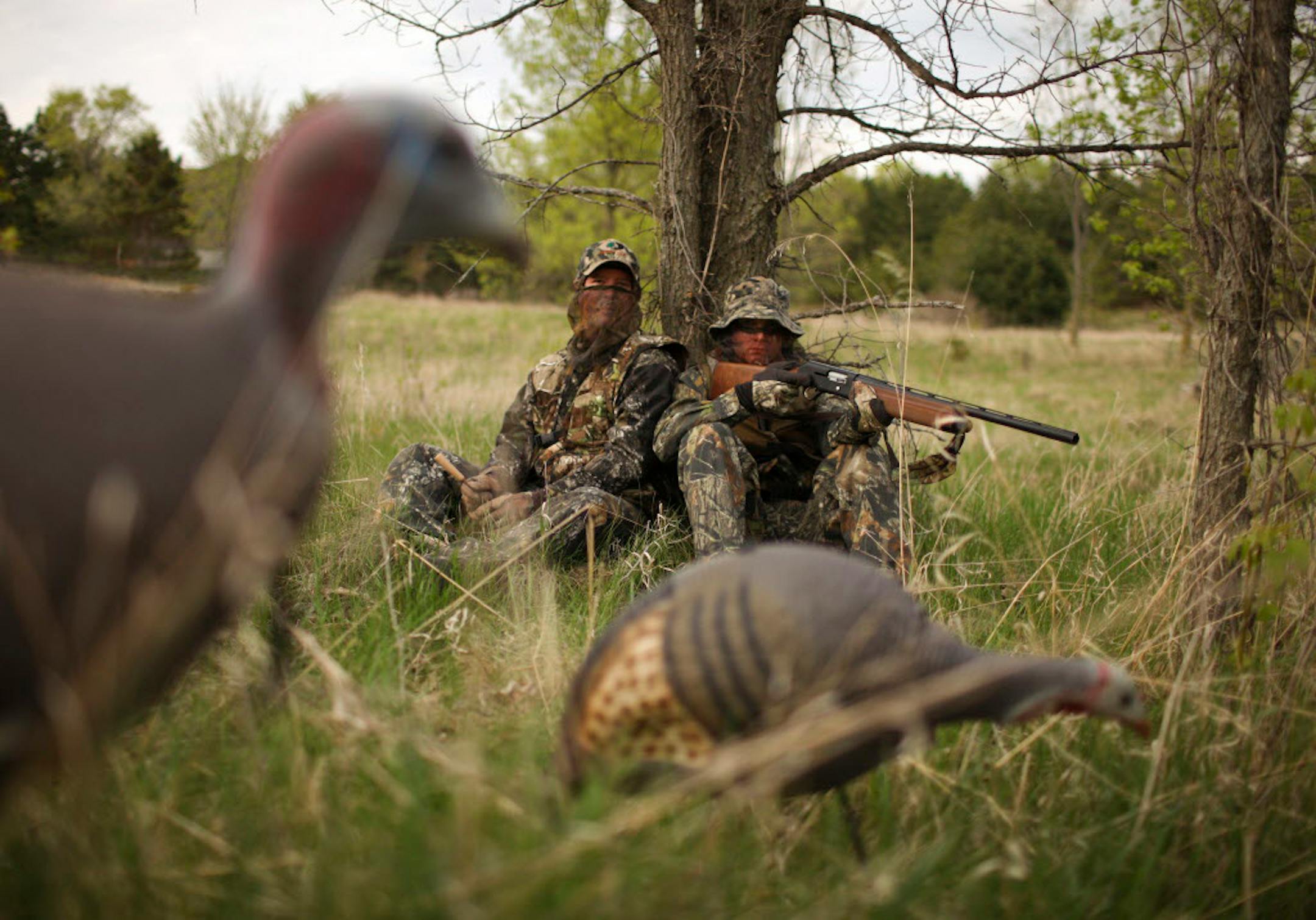 This season's Minnesota turkey hunt season begins Wednesday.
