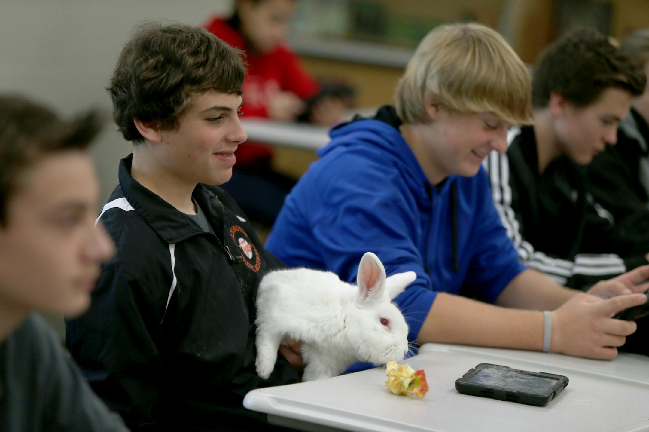 Farmington High School student Drew Cumiskey held a rabbit during a class lecture alongside classmate Andy Johnson, right, Tuesday, October 22, 2013 in Famington, MN. (ELIZABETH FLORES/STAR TRIBUNE) ELIZABETH FLORES • eflores@startribune.com