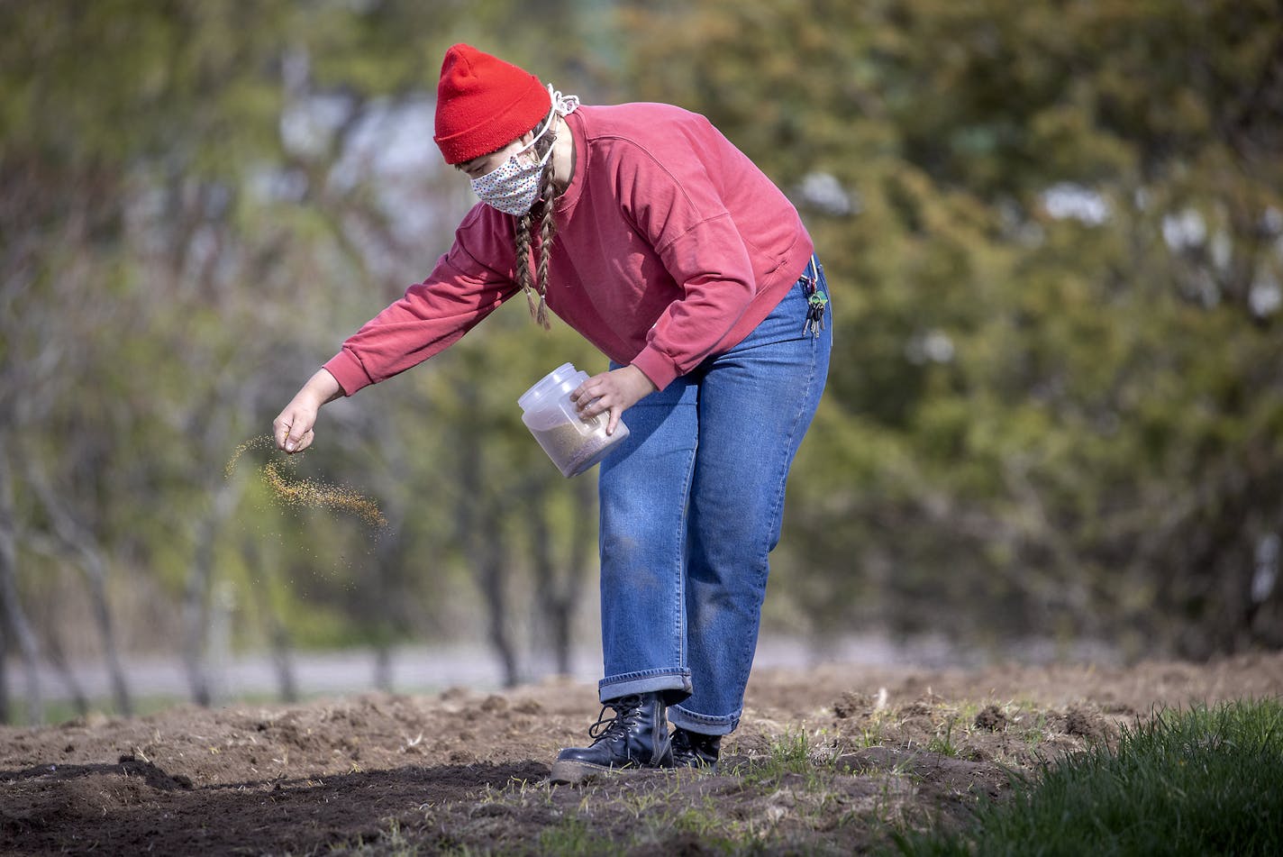 Dream of Wild Health's Amber Raven threw seeds into the ground for planting on their 10-acre farm, Monday, May 4, 2020 in Hugo, MN. Dream of Wild Health, a Minneapolis nonprofit that provides food for the local Native American community, is expanding its Hugo farm by 20 acres to expand food access in the Twin Cities. ] ELIZABETH FLORES • liz.flores@startribune.com