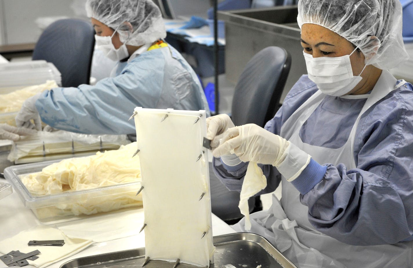 Synovis technicians stretched raw bovine tissue as part of the process to make their line of Tissue-Guard products. Implanted in humans, the material attracts cells to regrow soft tissue, then disappears. Synovis' CEO said use of the company's products for heart repair would be the "holy grail."