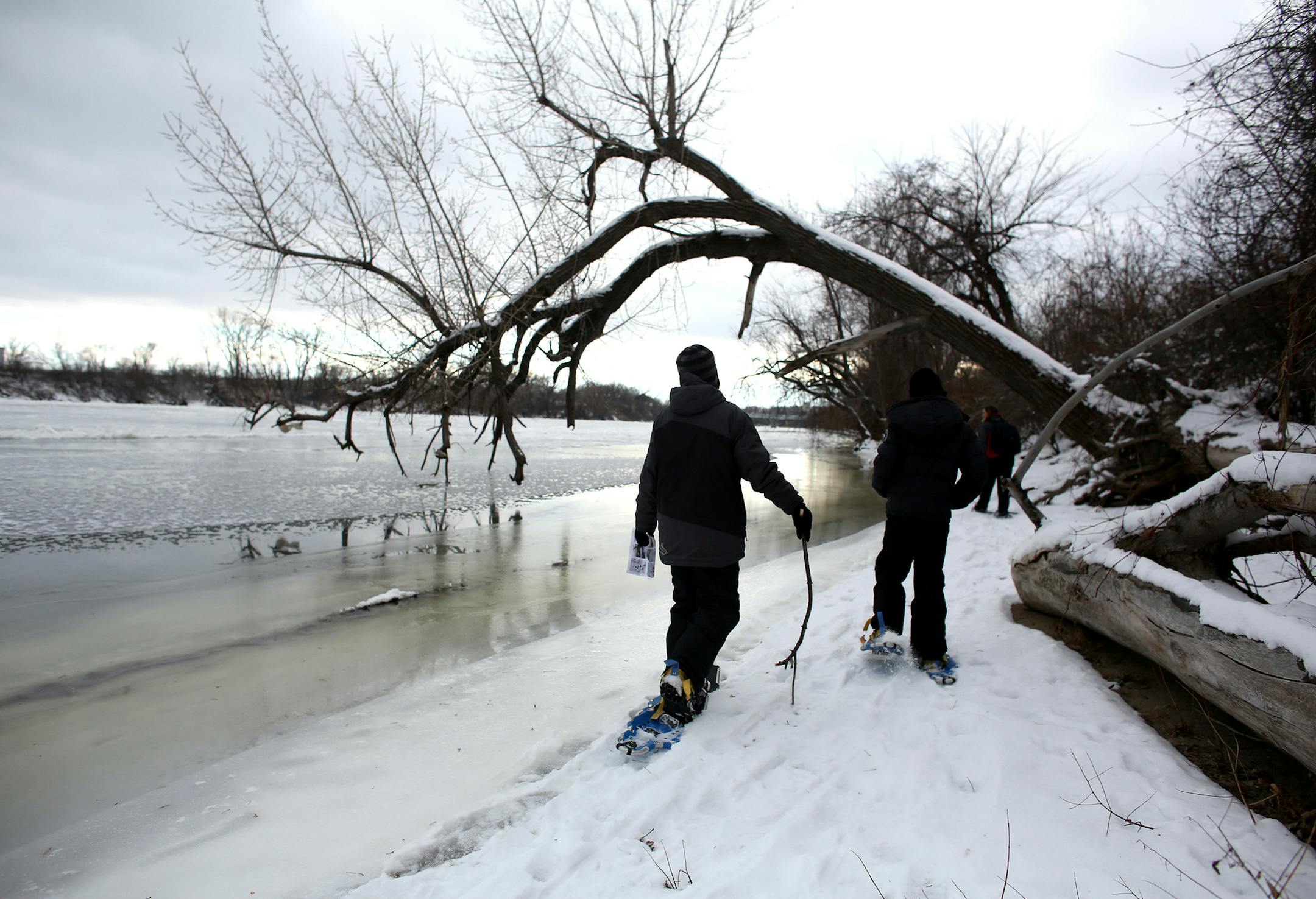 A group of snowshoers walked along the Mississippi River for about a two hour hike. ] (KYNDELL HARKNESS/STAR TRIBUNE) kyndell.harkness@startribune.com New Year's Day Snowshoe Hike at the Three Rivers Park District's Carl Kroening Center in Minneapolis Min., Thursday, January 1, 2014.